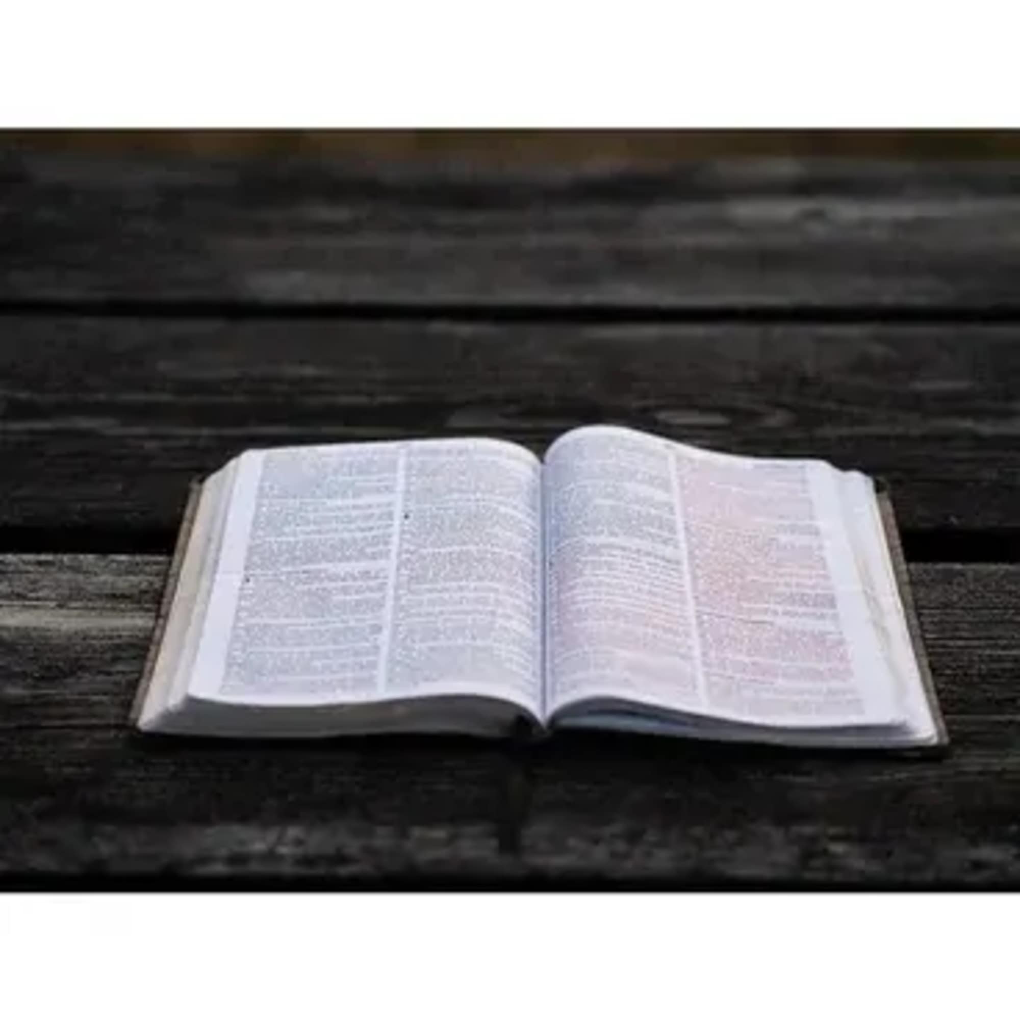 An open book resting on a dark wooden surface