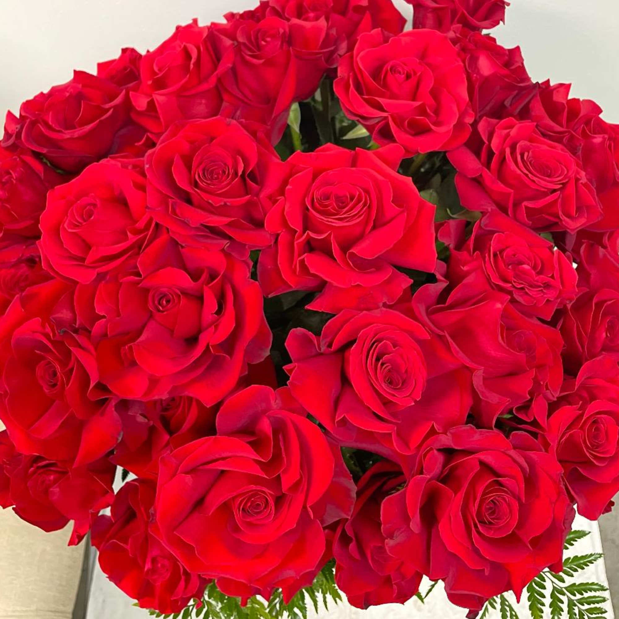 Bouquet of red roses with a few fern fronds visible at the base