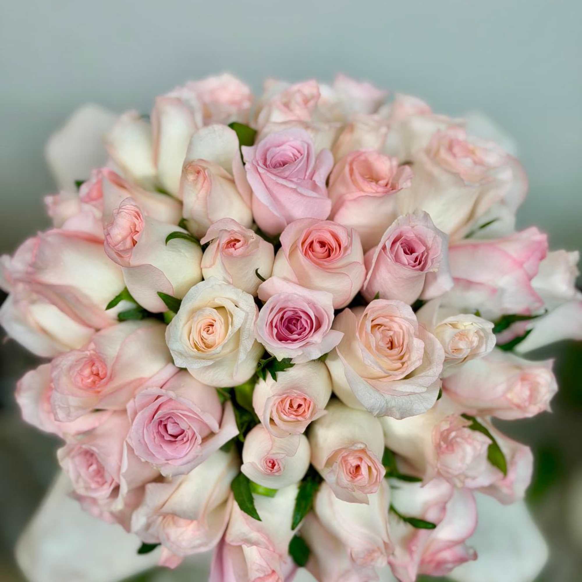 Product Information

Arrangement includes roses in a pink velvet box

Arrangement may look different

Substitution, photo 2 of 3