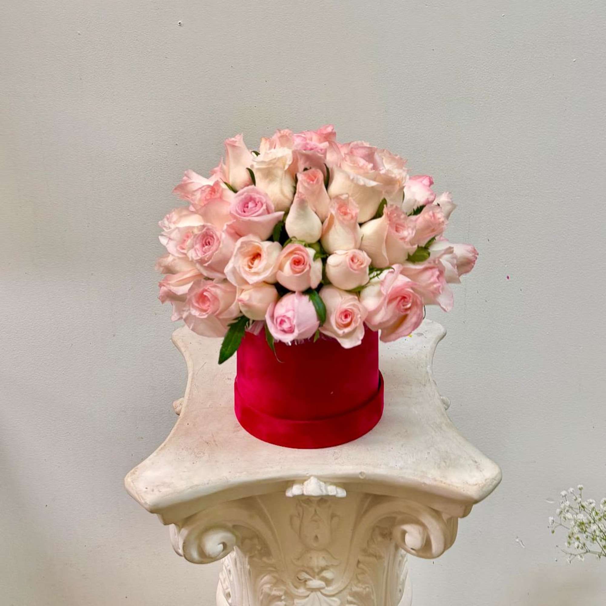Product Information

Arrangement includes roses in a pink velvet box

Arrangement may look different

Substitution, photo 3 of 3