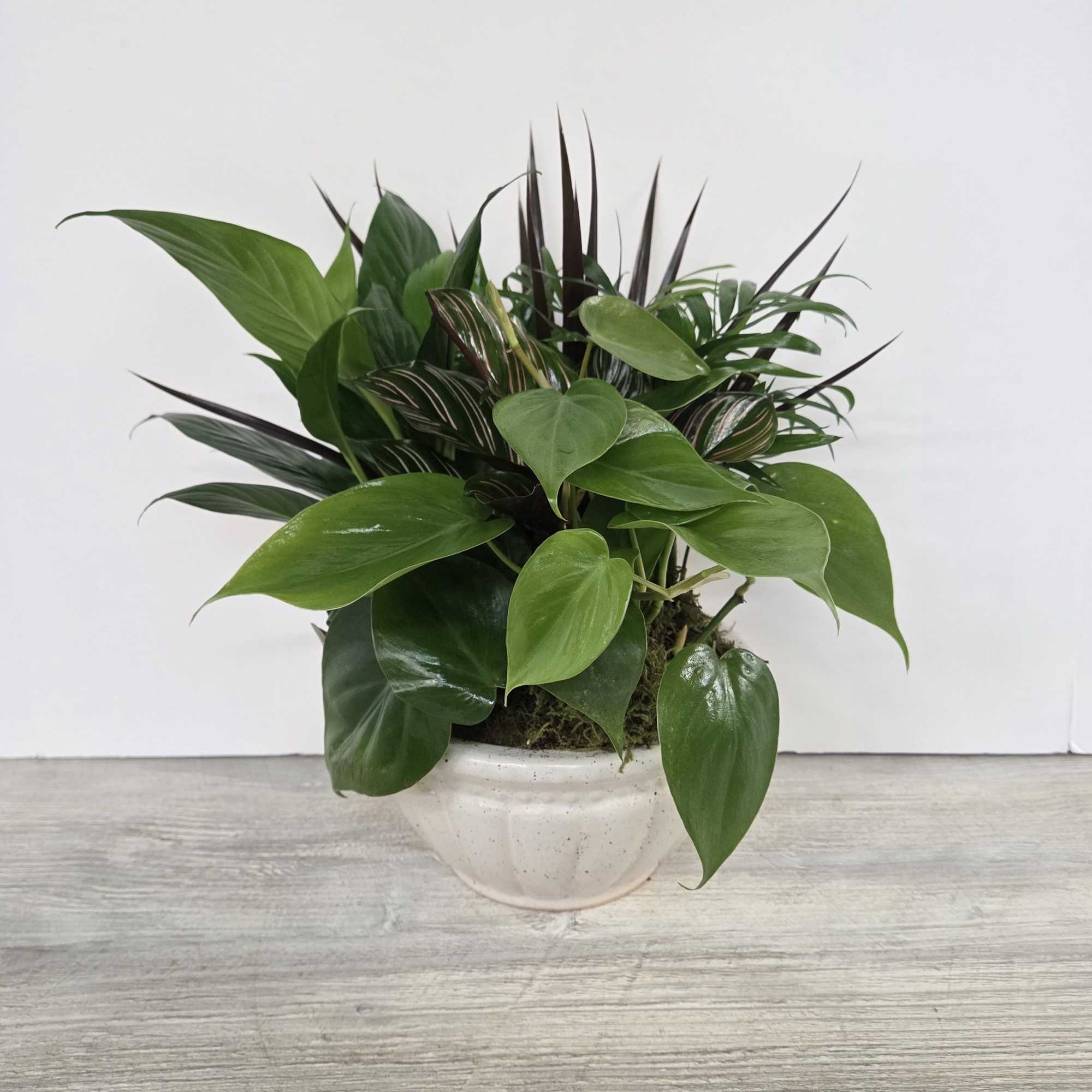 A lush combination of green plants is an exquisite gift. It's a