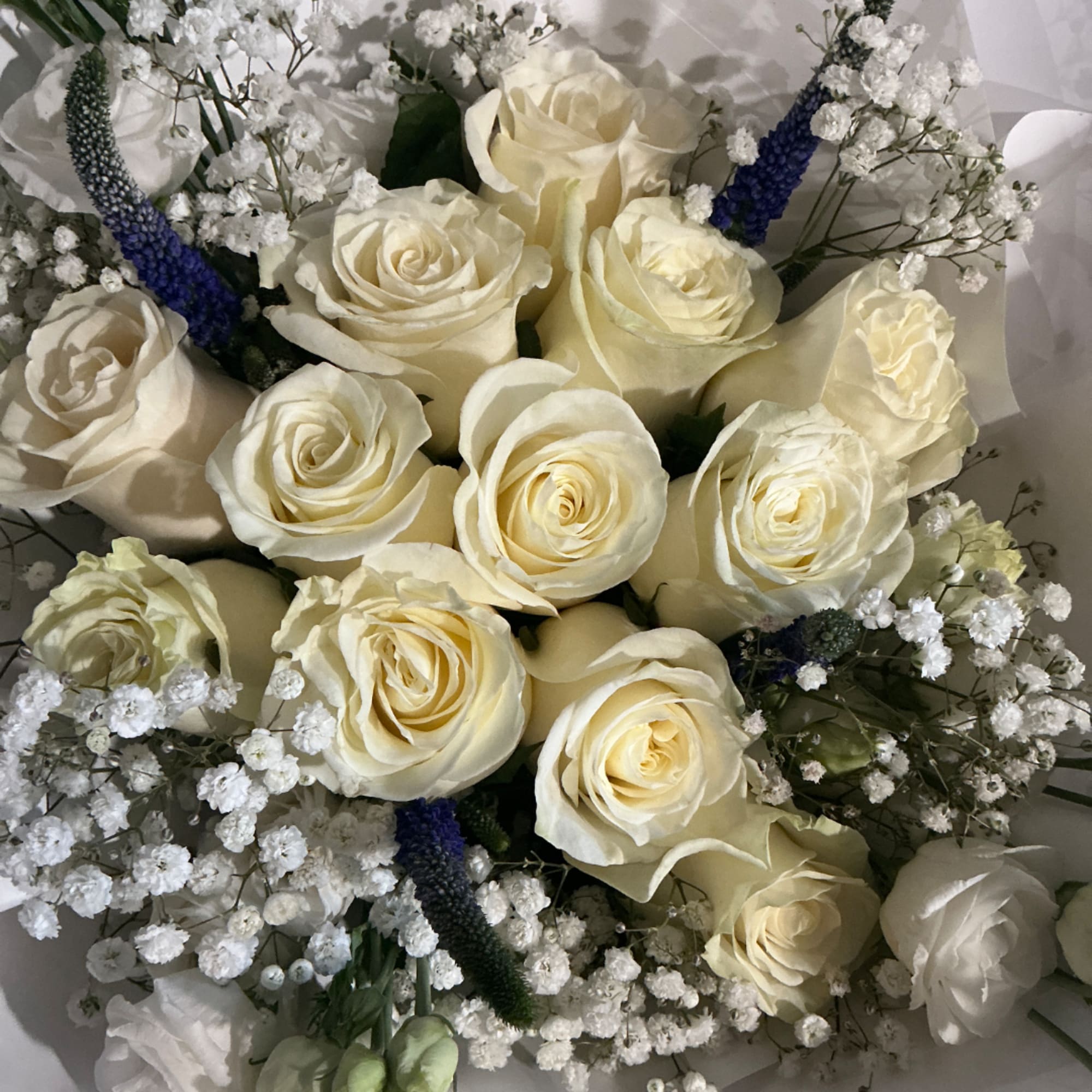 Bouquet of cream roses with white baby's breath and blue spikes