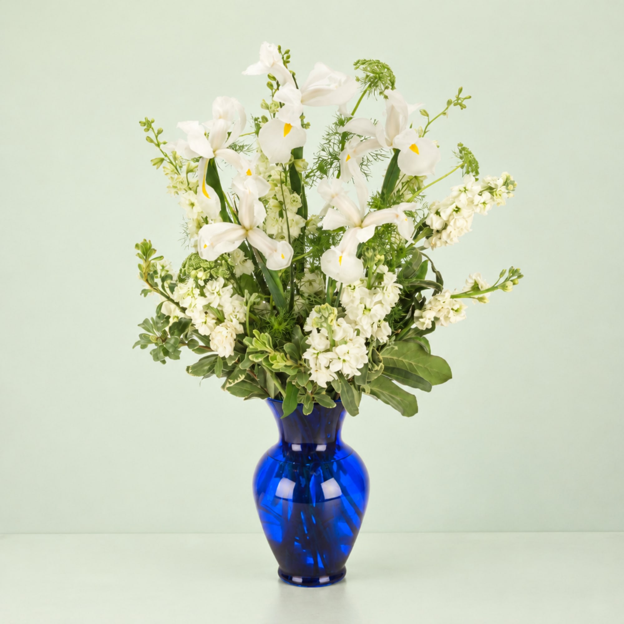 White iris arrangement in a cobalt blue vase