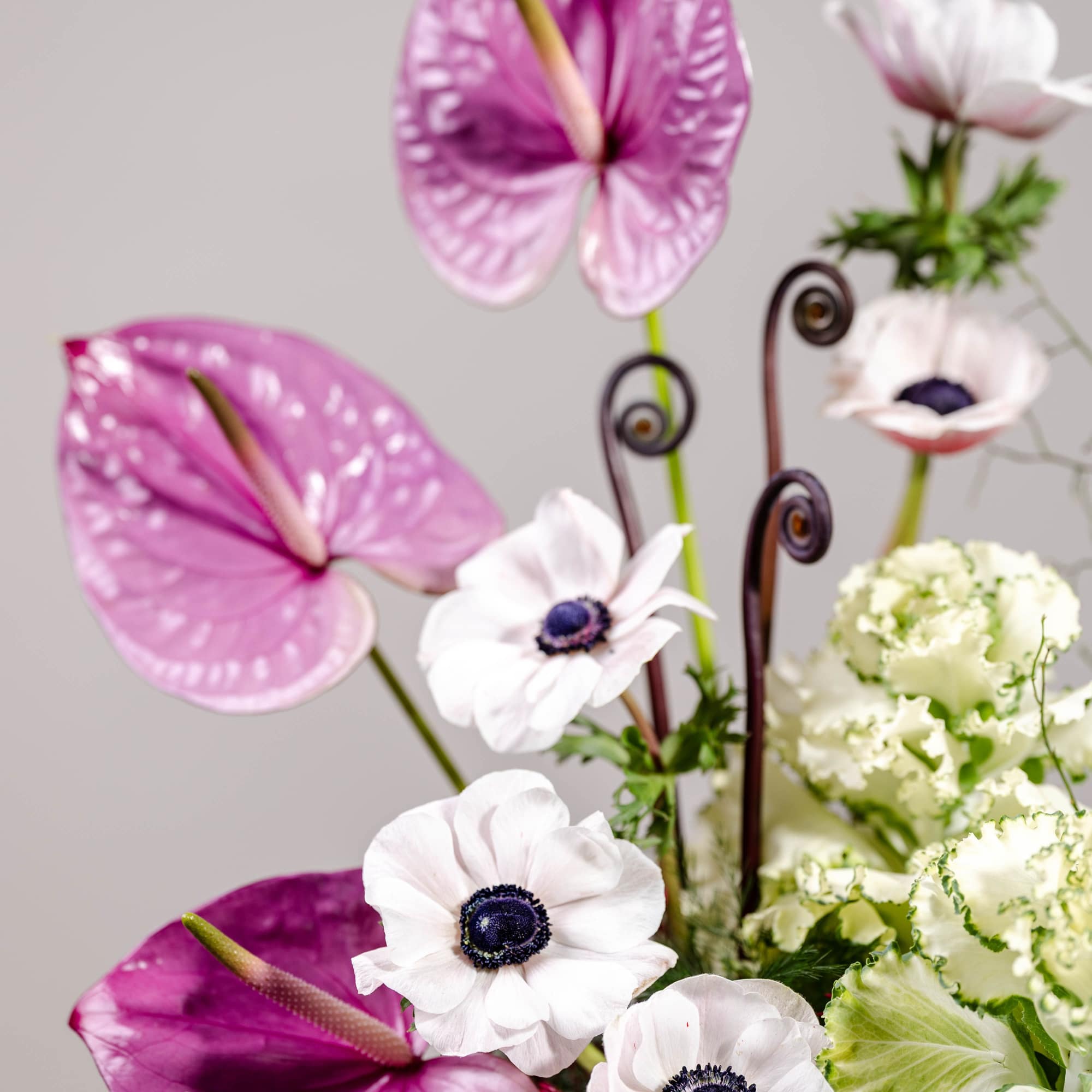 Pink anthuriums and white anemones in a floral arrangement