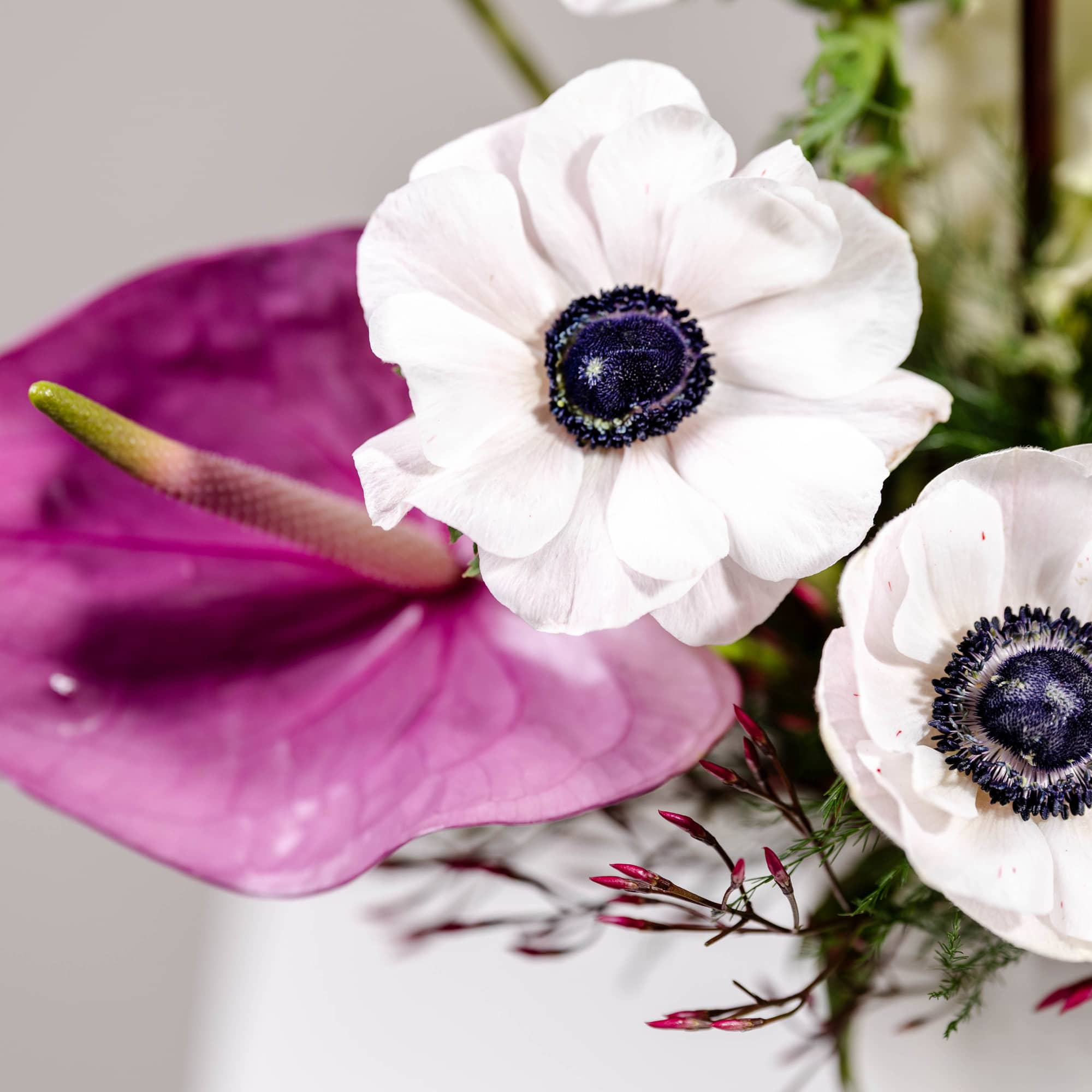 Close-up of white anemones with dark centers and a pink anthurium in a mixed floral arrangement