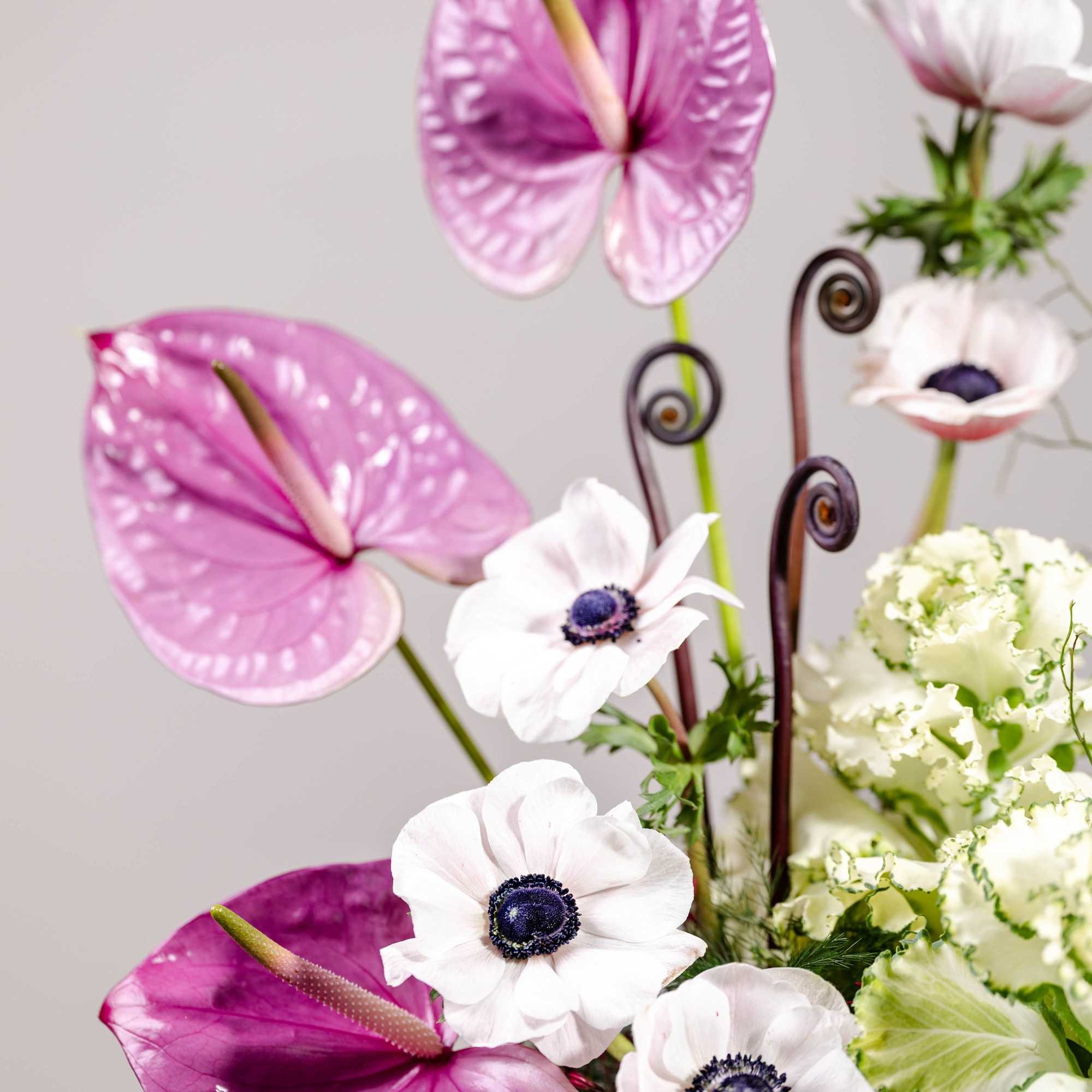 Tall modern arrangement with pink tropical blooms and white anemones in a light vase
