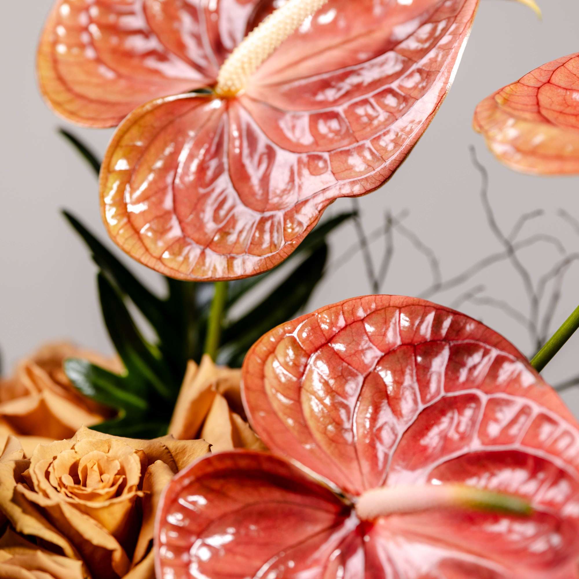 Arrangement of peach anthuriums and tan roses