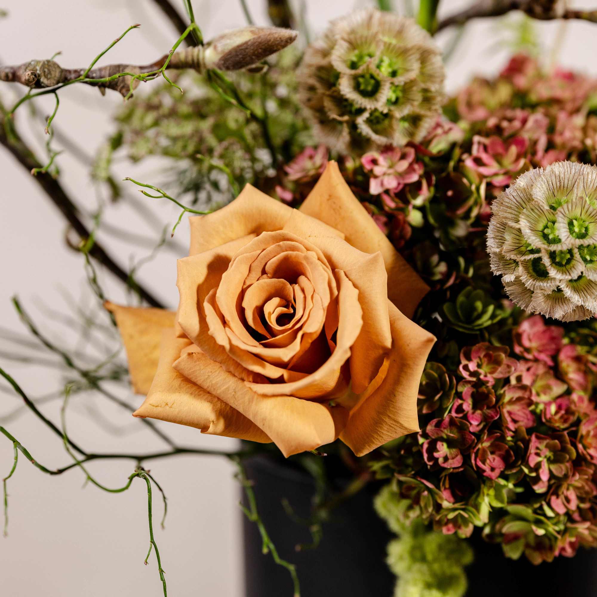 Peach roses with pink hydrangea-like blooms in a black vase