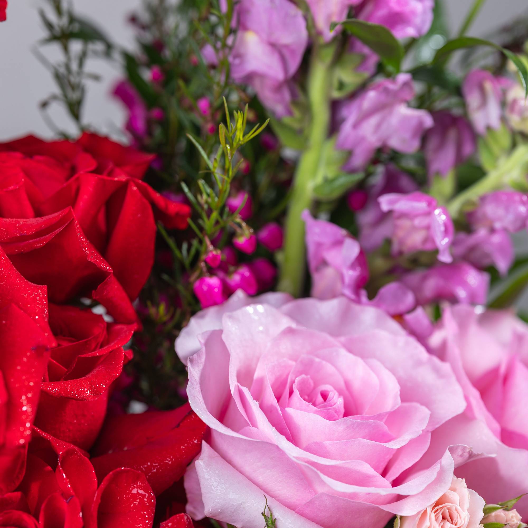 Bouquet of red and pink roses with purple flowers