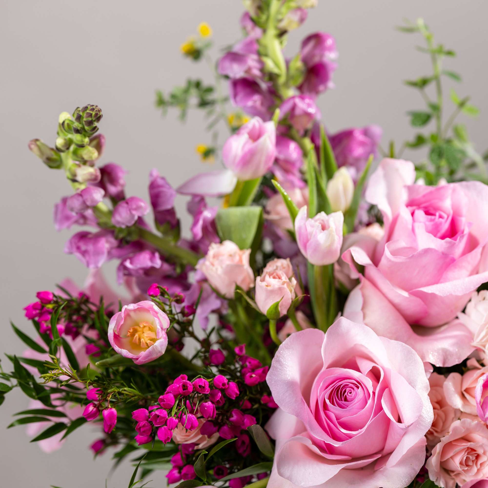 Pink roses and tulips with purple flowers in a white vase