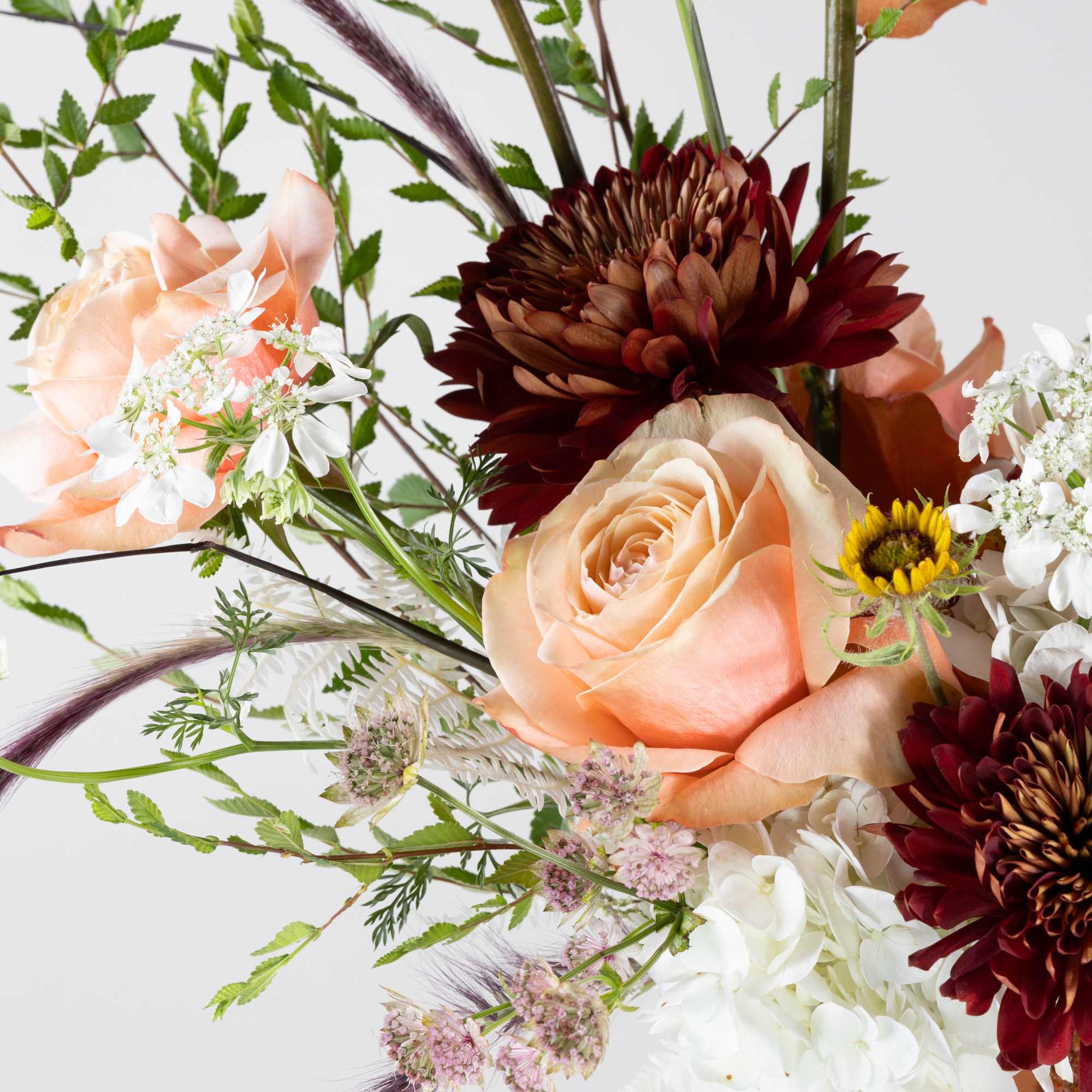 Peach roses and burgundy dahlias in a terracotta vase