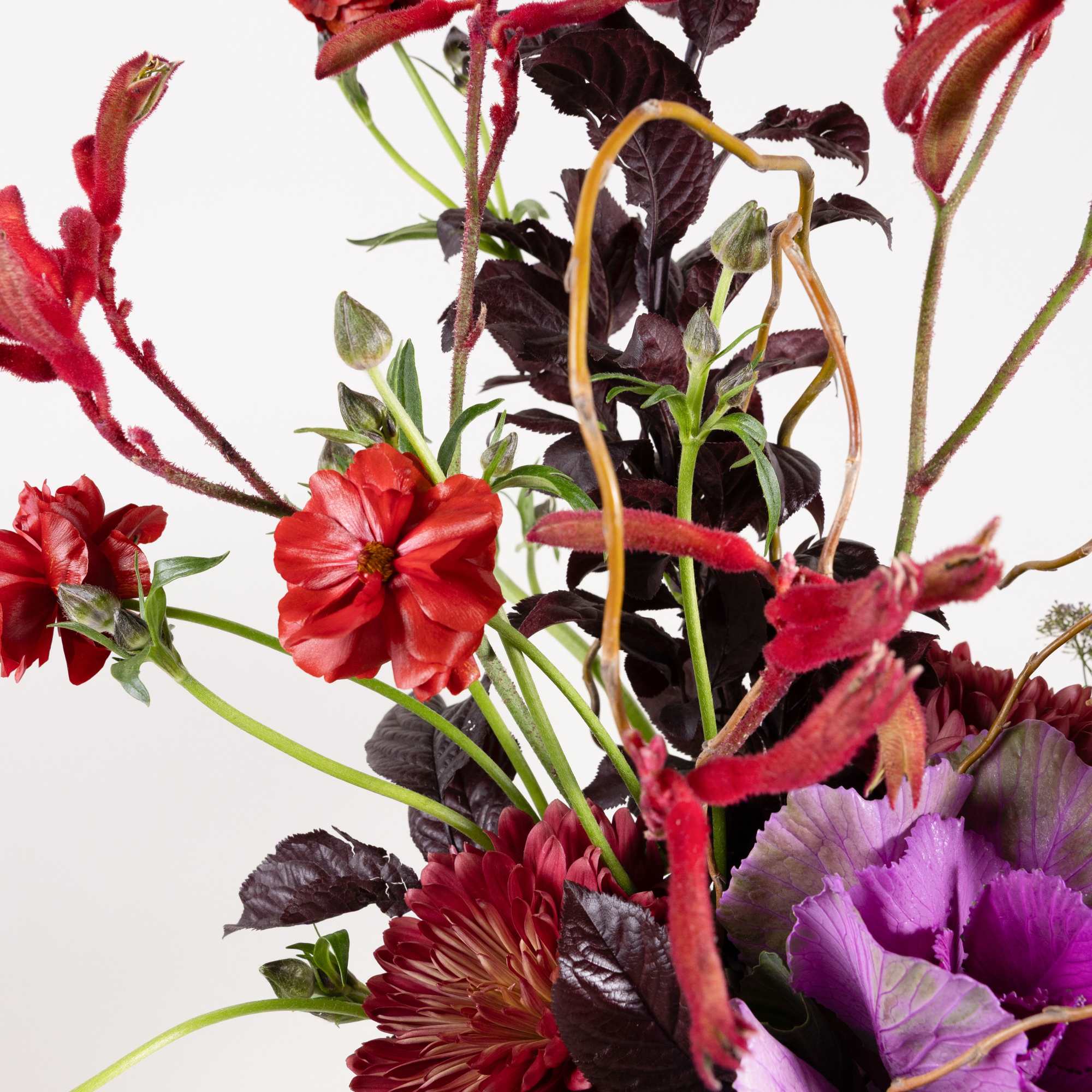 Red and purple floral arrangement with dark foliage on a white background