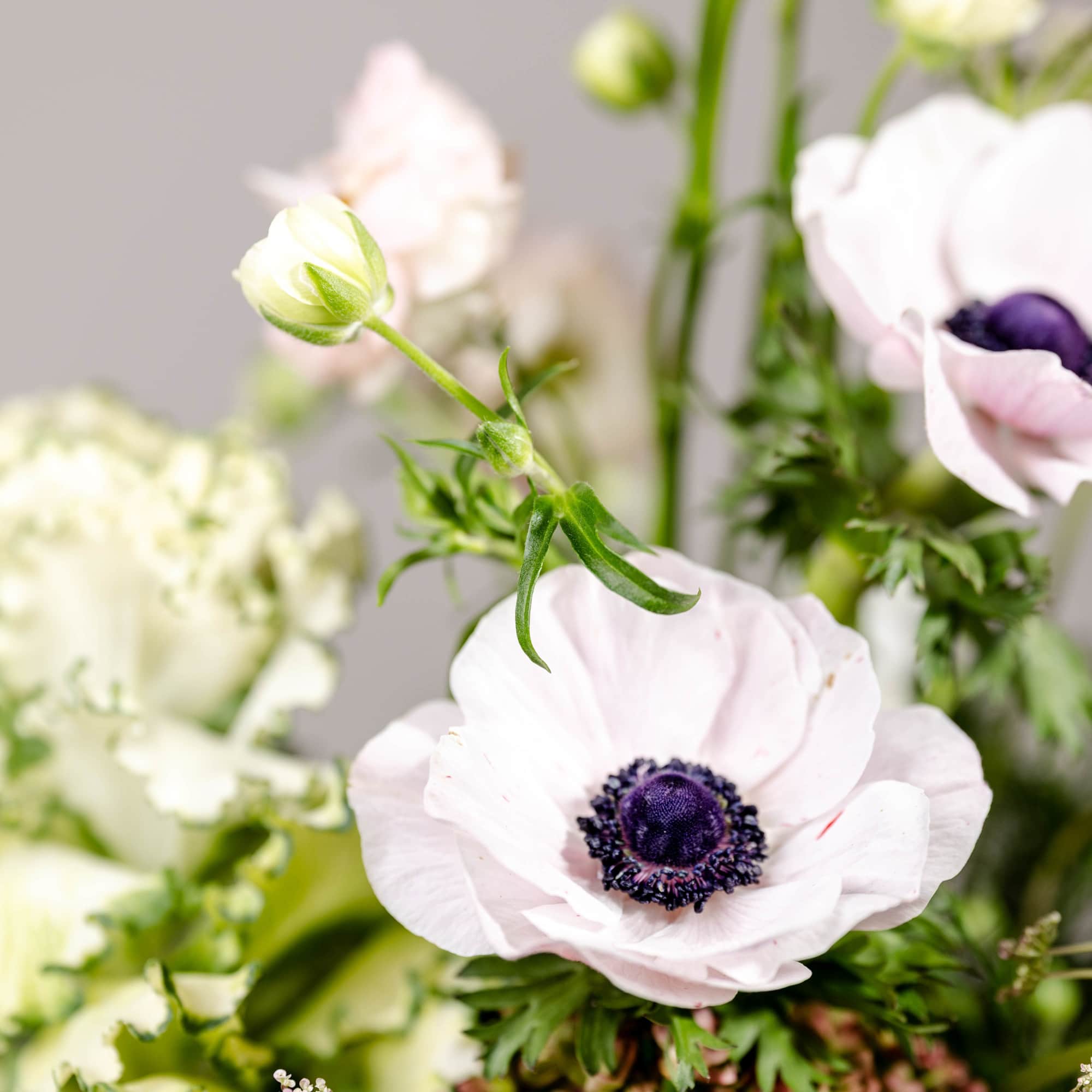Soft pink anemones with dark centers in a floral arrangement