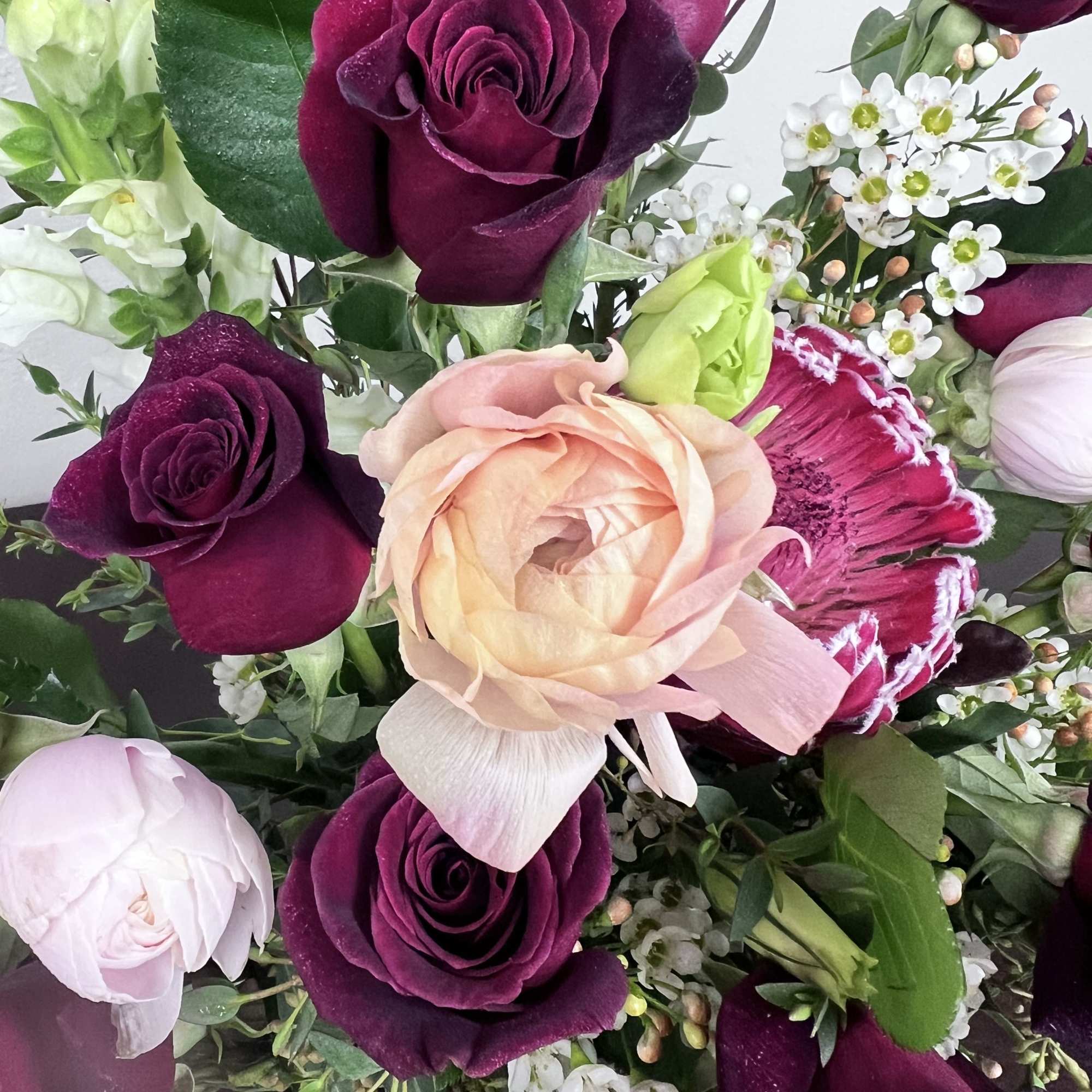 Bouquet of deep purple and blush roses with white filler flowers