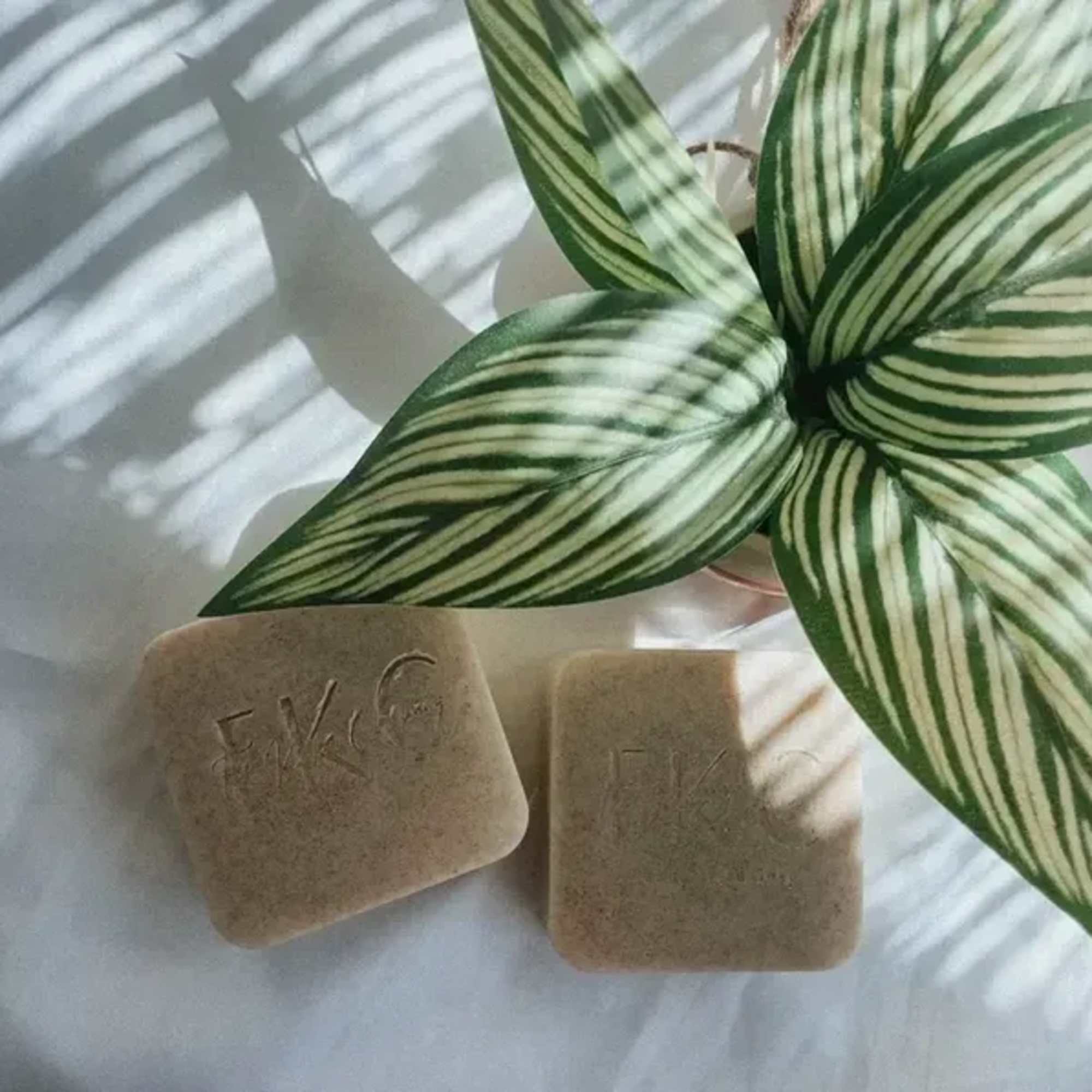 Striped green houseplant leaves beside two beige soap bars