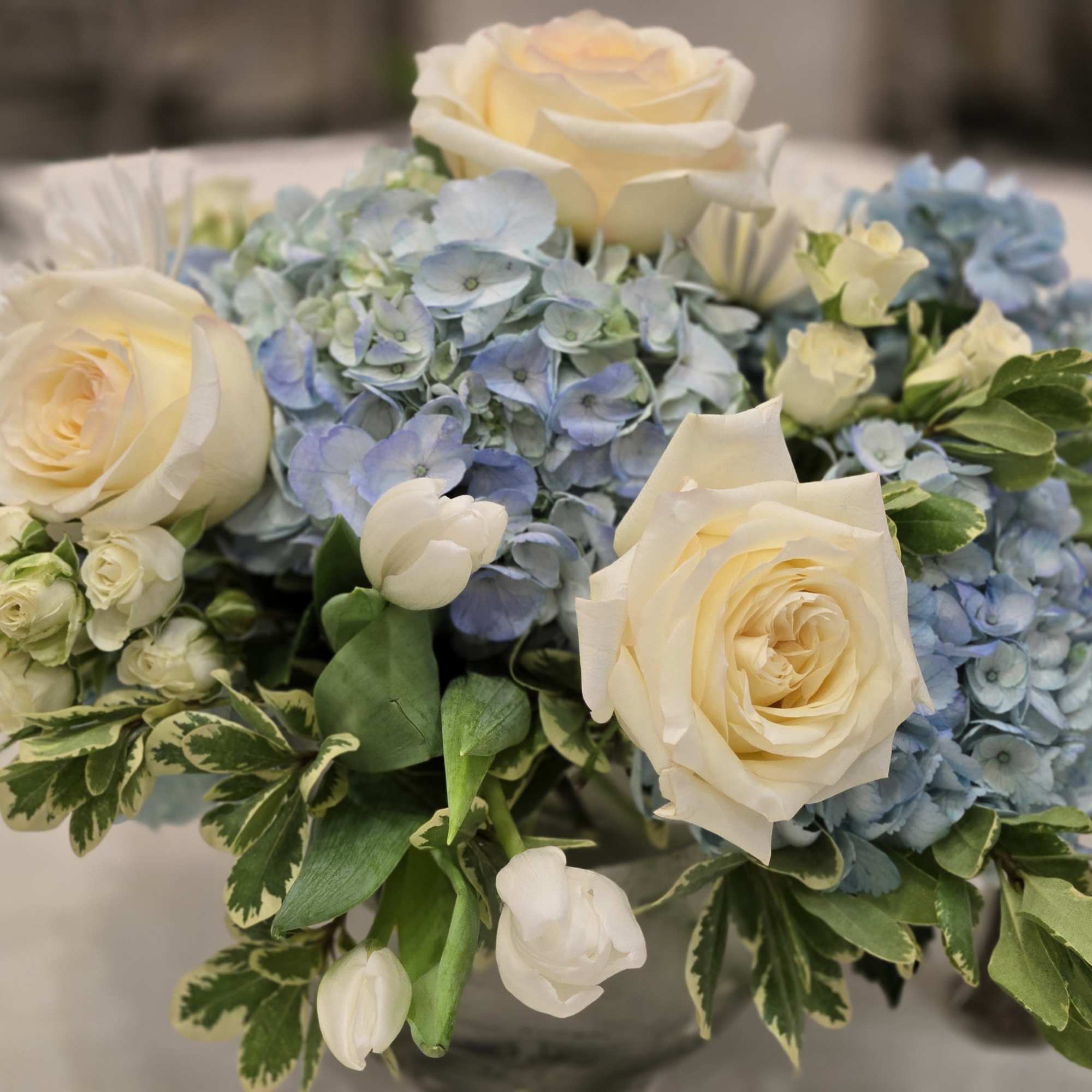 Cream roses and blue hydrangeas in a low vase arrangement