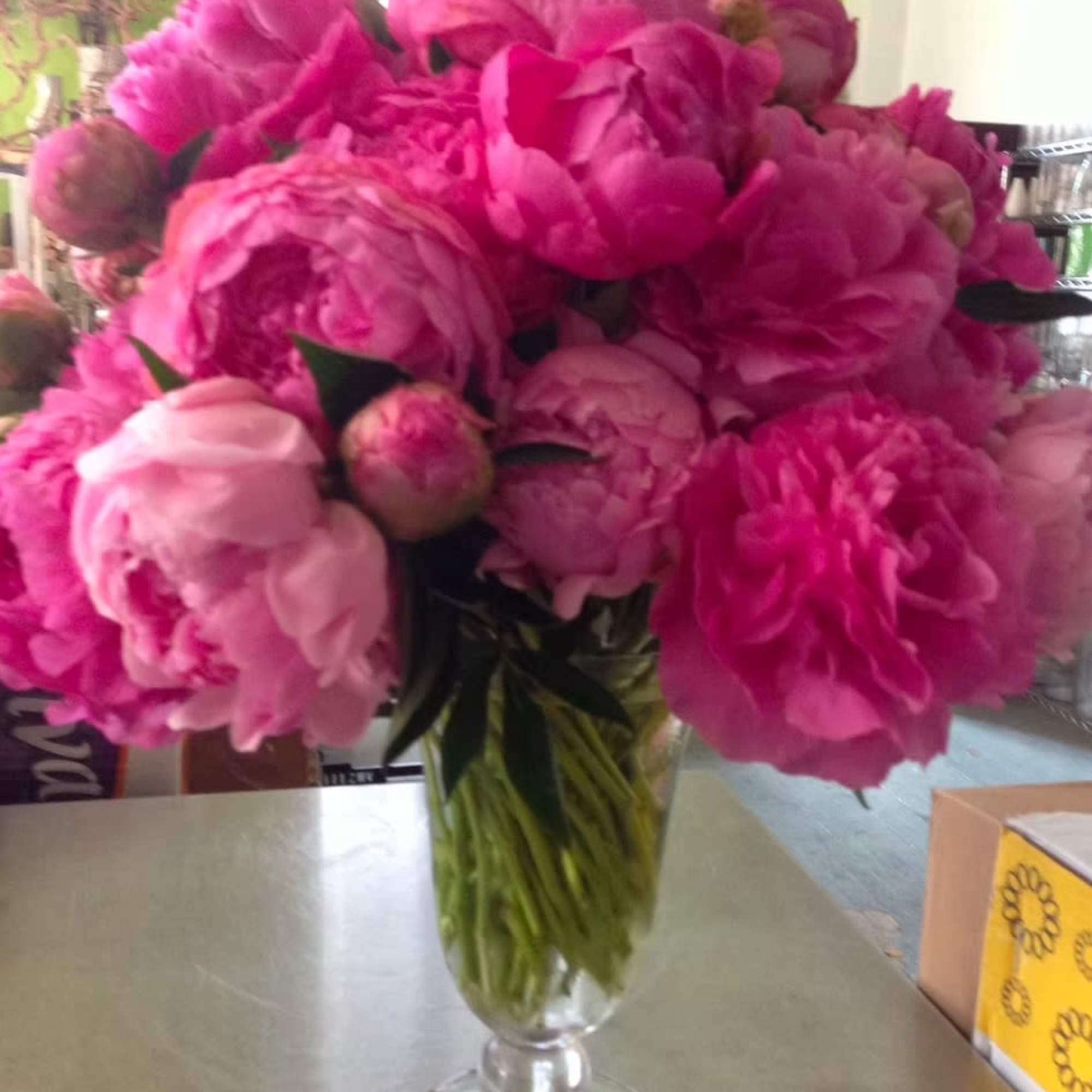 Pink peonies arranged in a clear glass vase