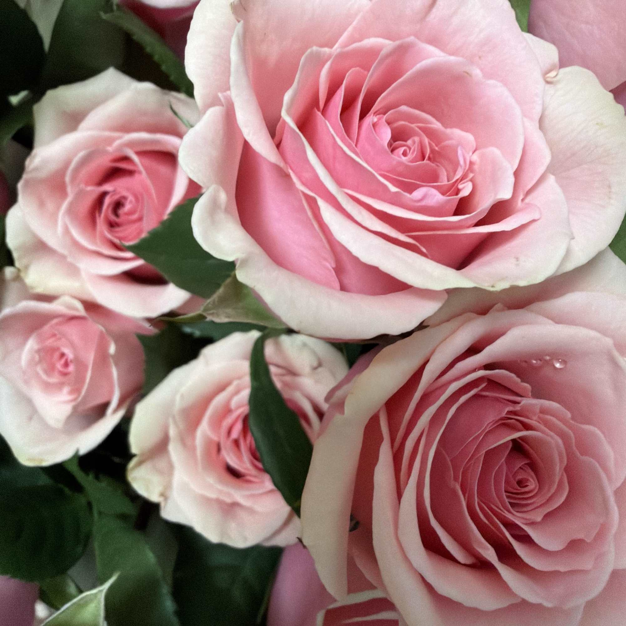 Primium roses, together with seasonal flowers, delicate wrapped with Korean paper.