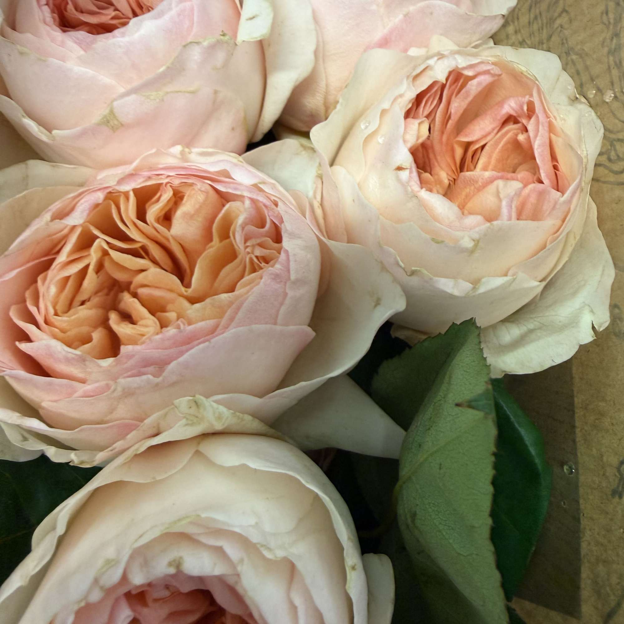 Primium roses, together with seasonal flowers, delicate wrapped with Korean paper., photo 2 of 3