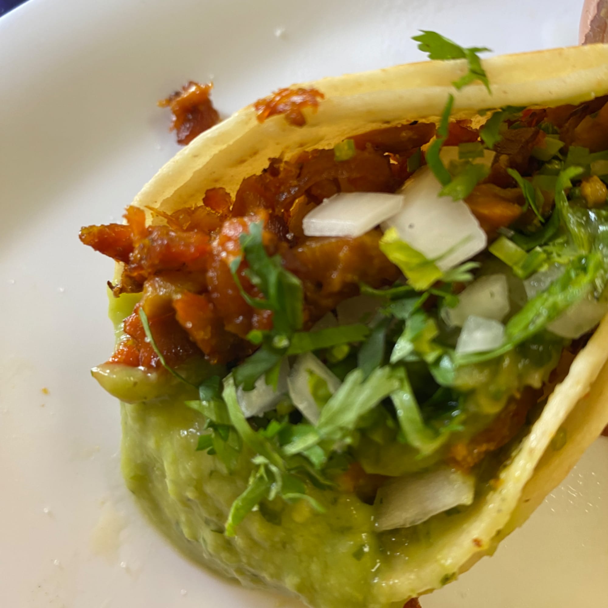Taco with meat, avocado, onion, and cilantro on a white plate