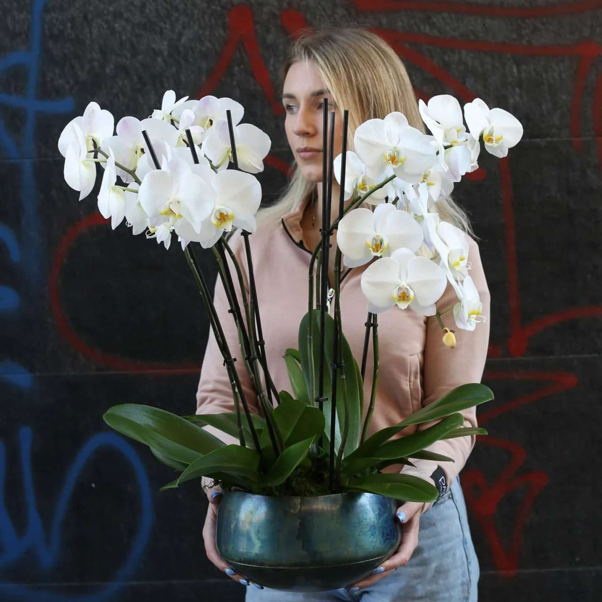 White orchids in a round metal planter held by a woman
