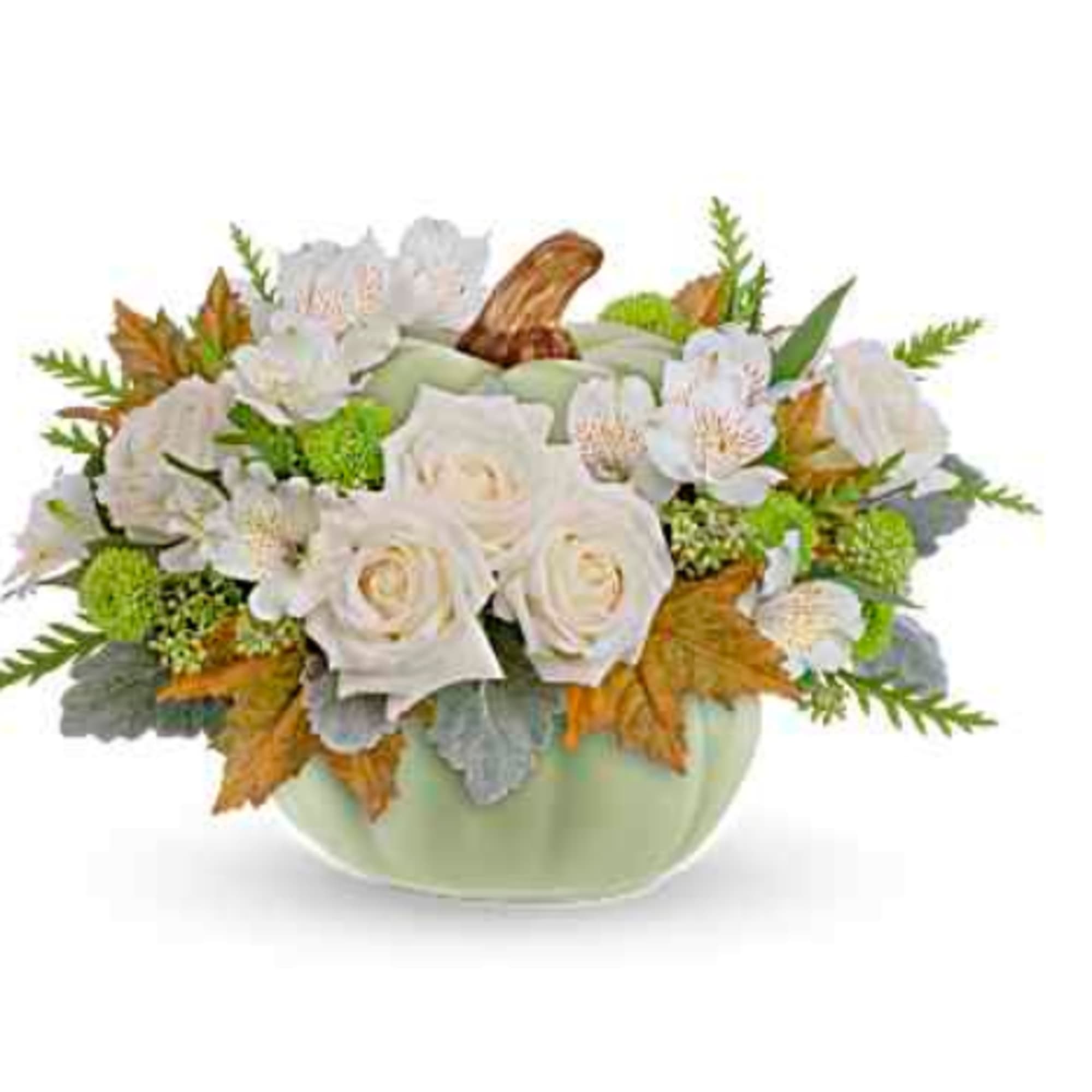 This beautiful Green Pumpkin Arrangement comes in three sizes. Using White Roses
