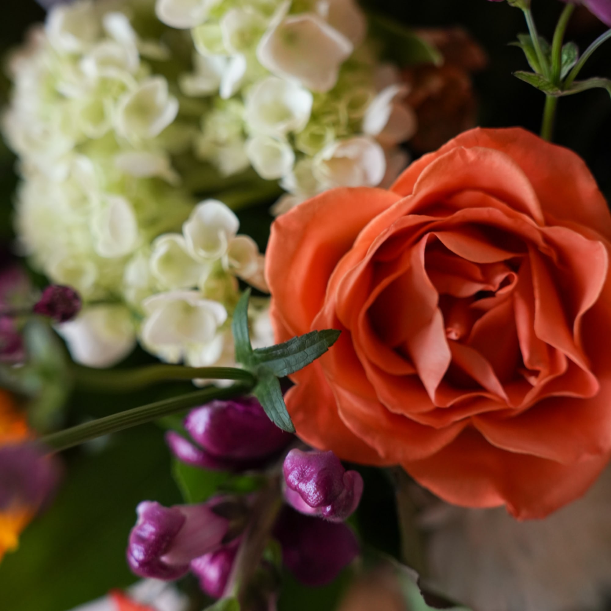Orange rose with white hydrangea and purple buds in a close-up bouquet