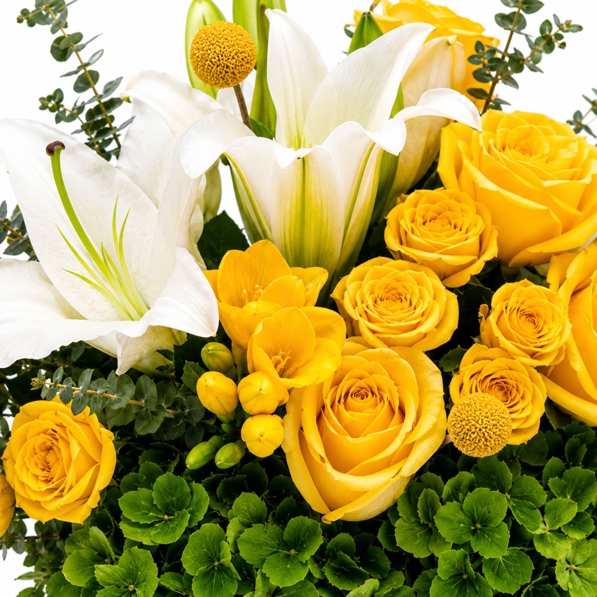 This arrangement features a luxury silver vase filled with white lilies and, photo 2 of 2