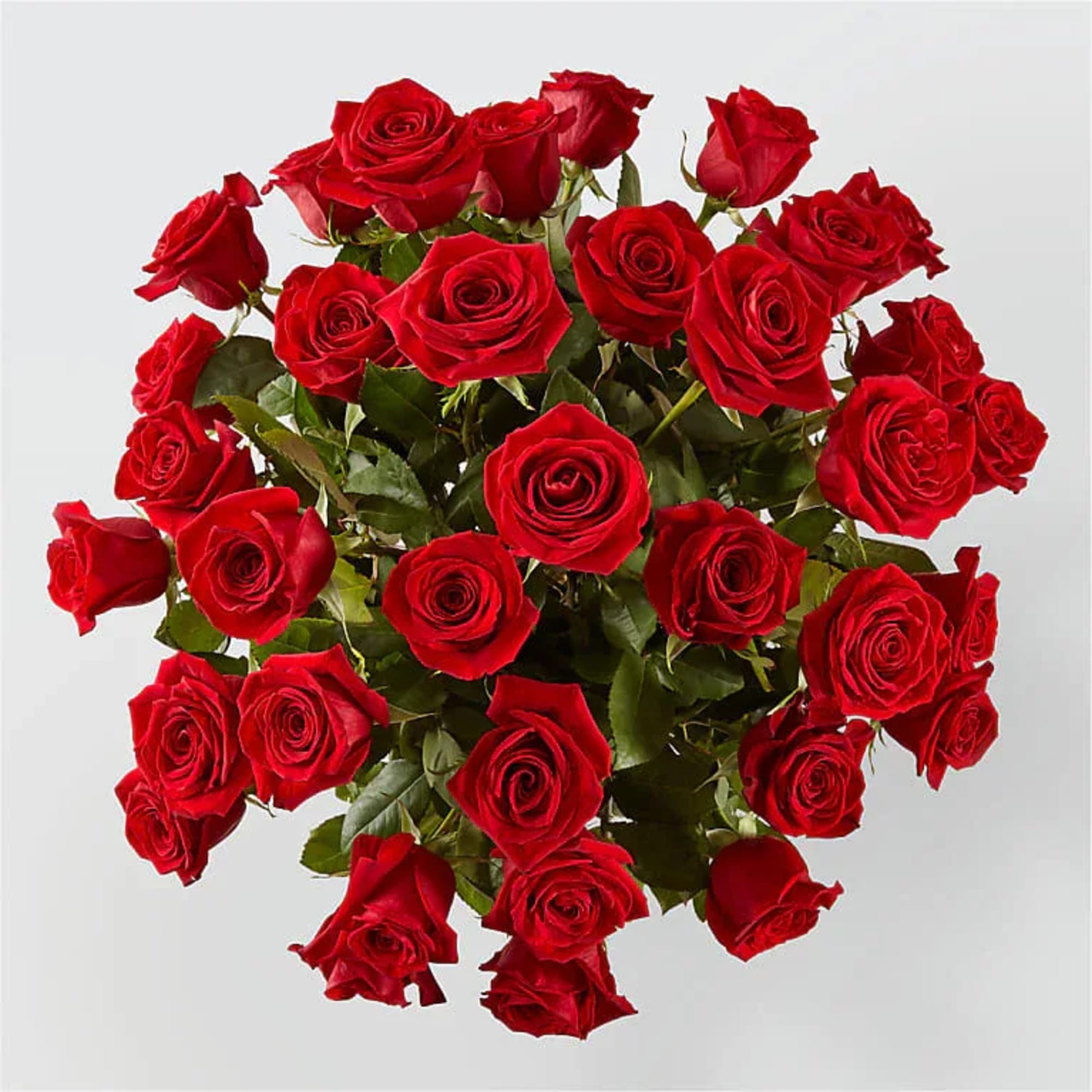 Bouquet of red roses with green foliage
