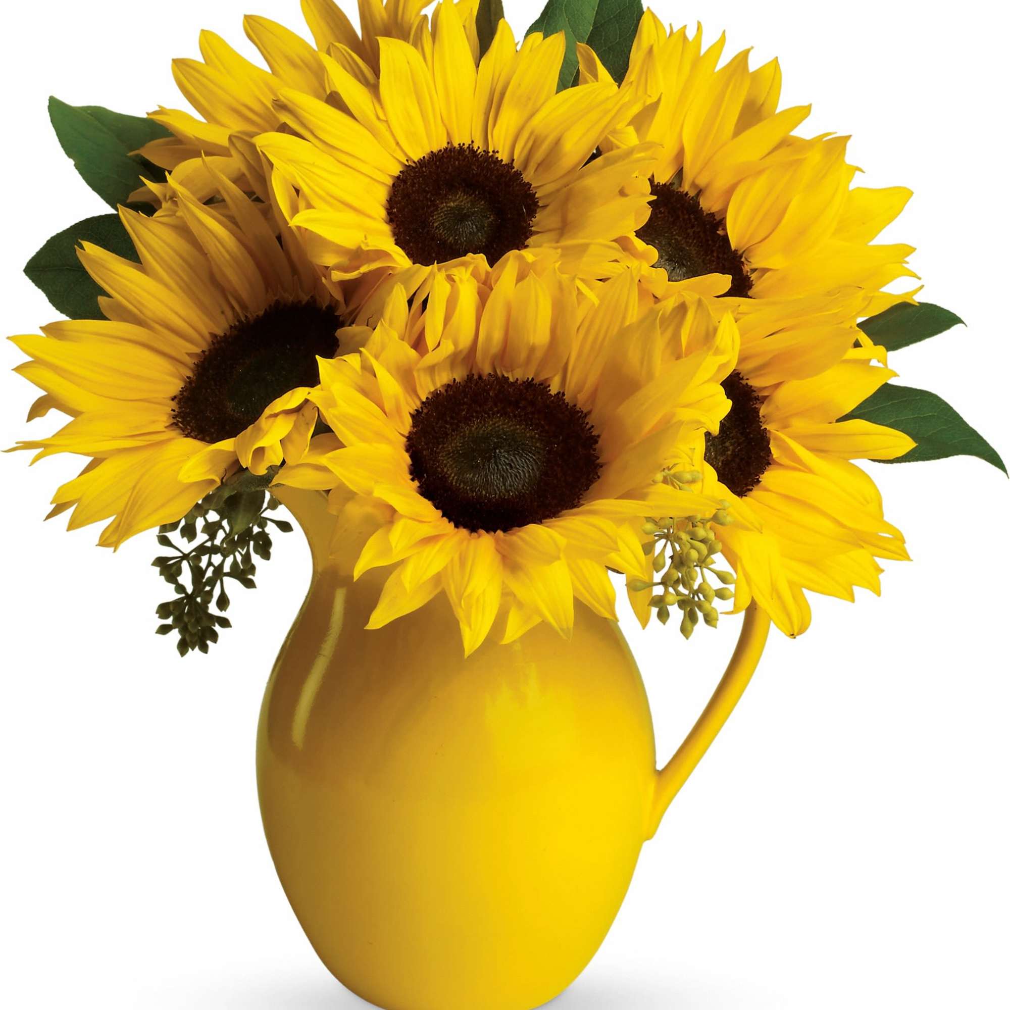 Yellow sunflowers arranged in a yellow pitcher vase