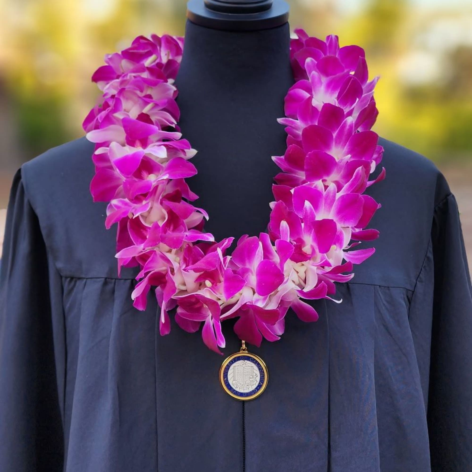 Pink orchid lei draped over a dark graduation gown