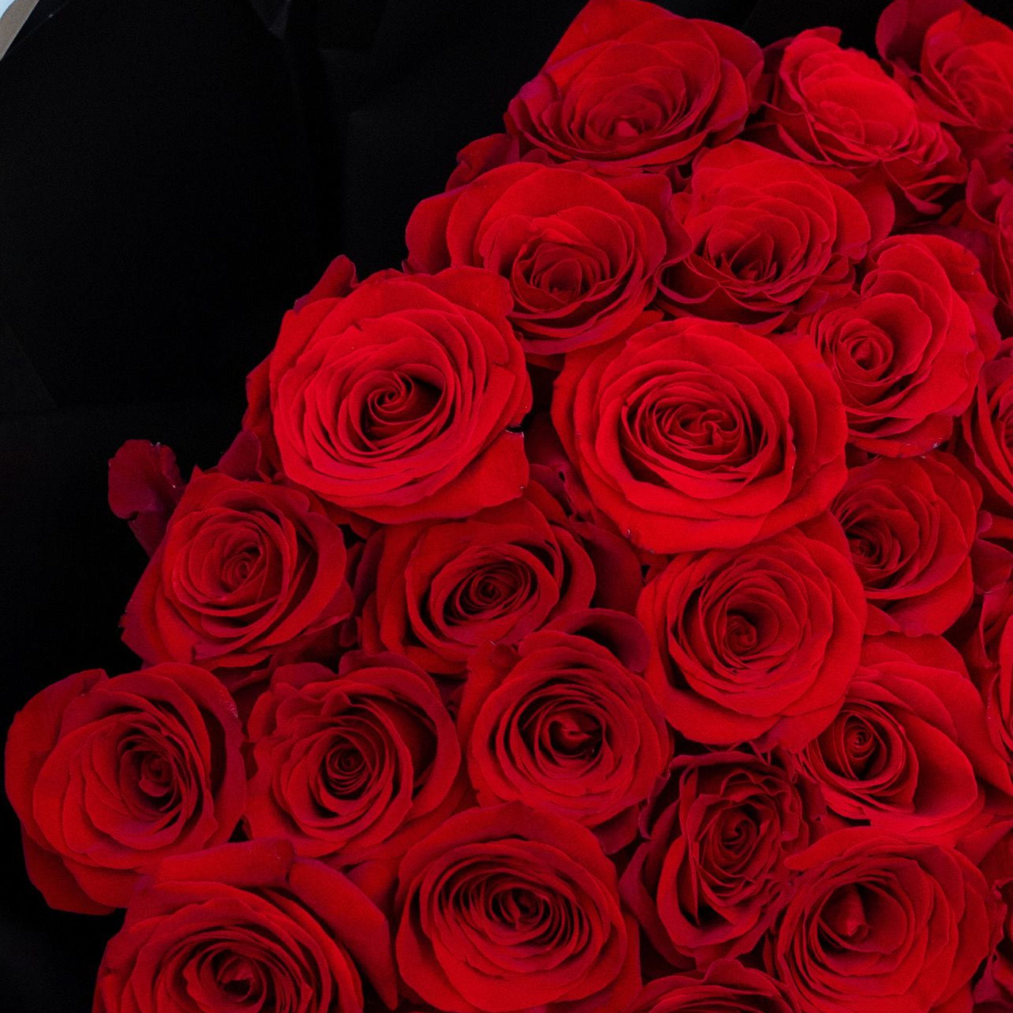 Standard - 25 roses
Deluxe - 48-50 roses
Premium - 73-75 roses
A bold and, photo 2 of 2