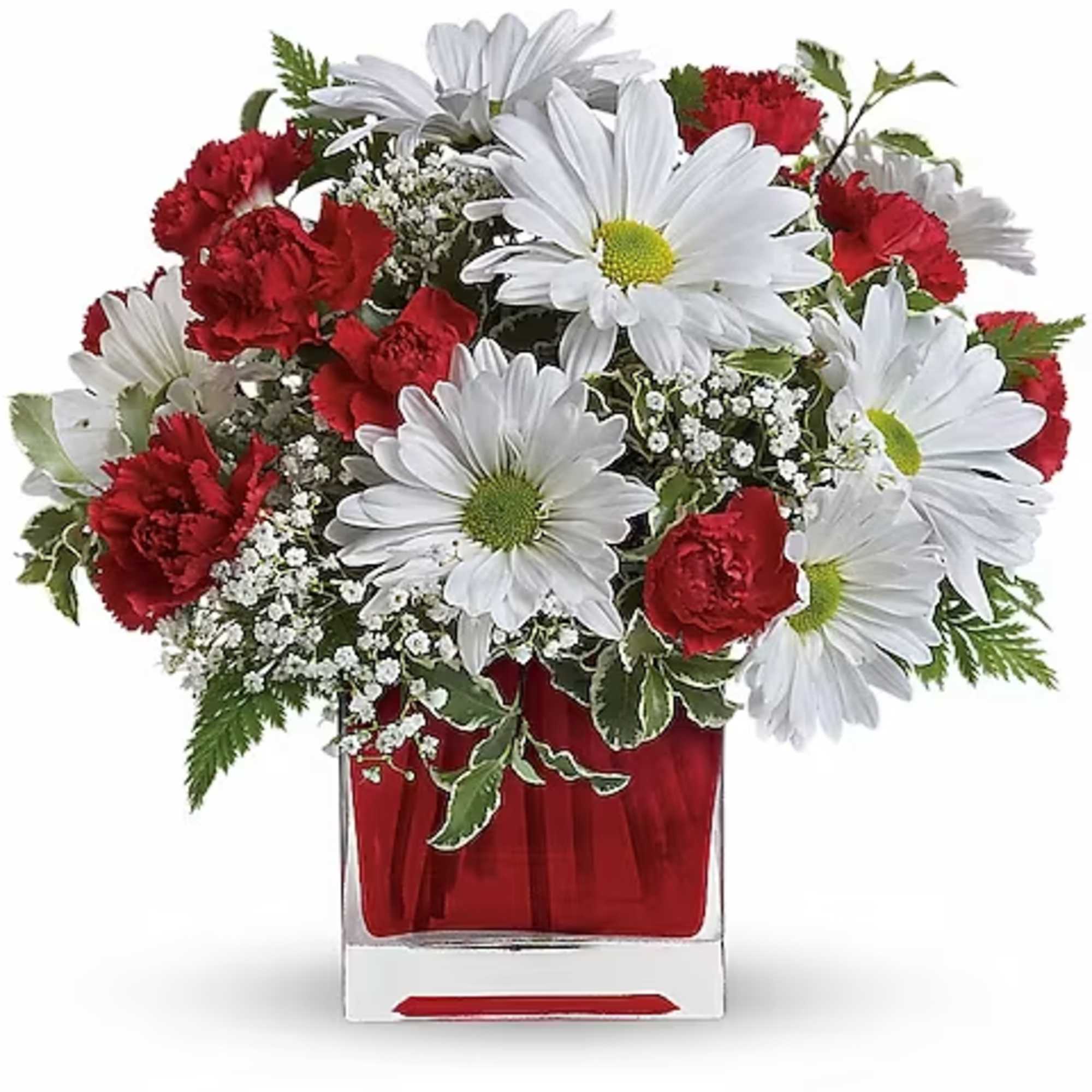 Red carnations and white daisies in a red glass vase