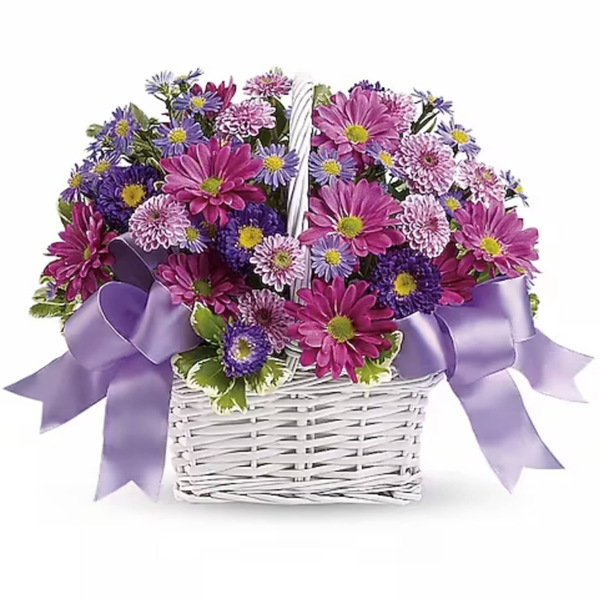 Basket of pink and purple daisies with a lavender ribbon