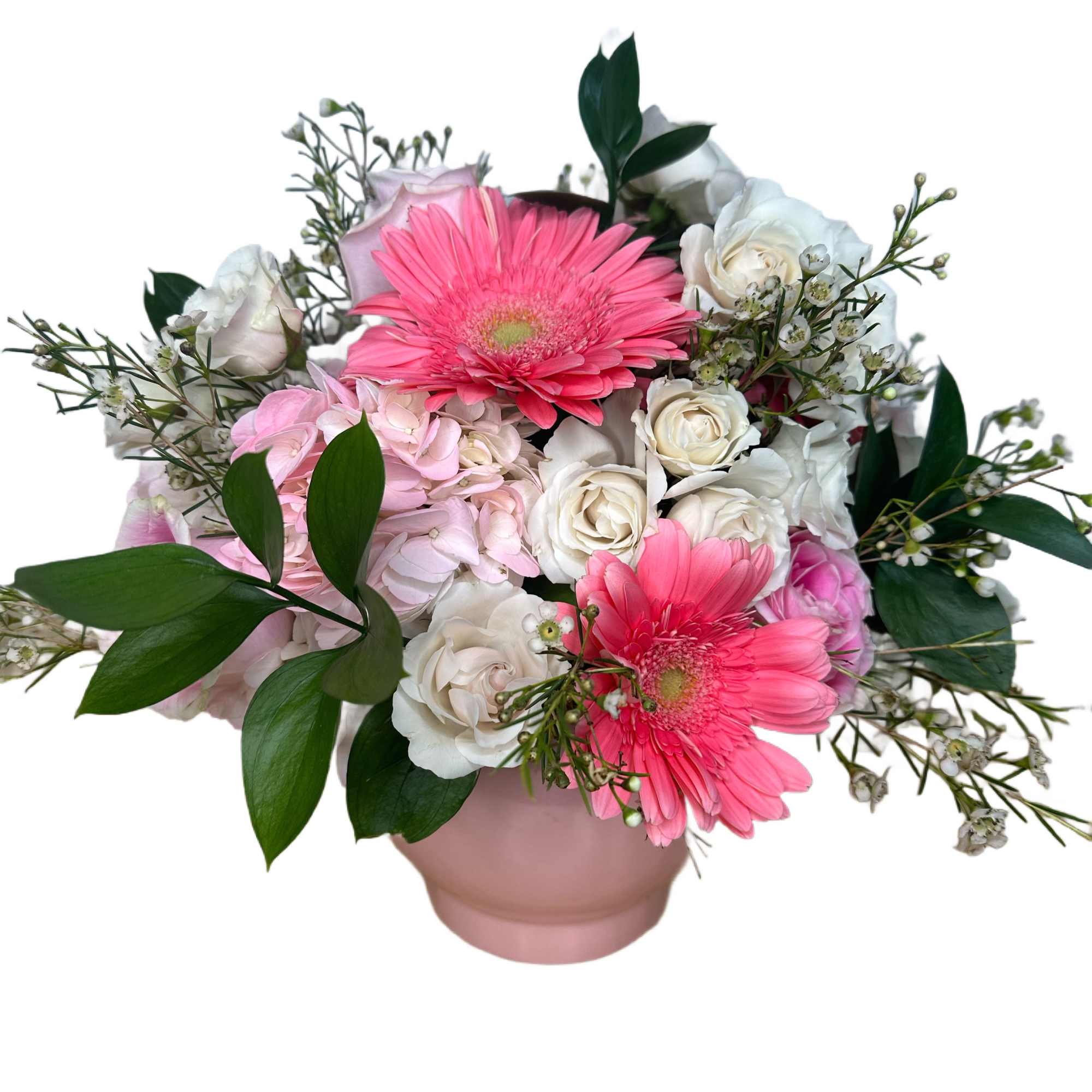 A burst of beauty, just like your favorite candy. Pink Starburst is
