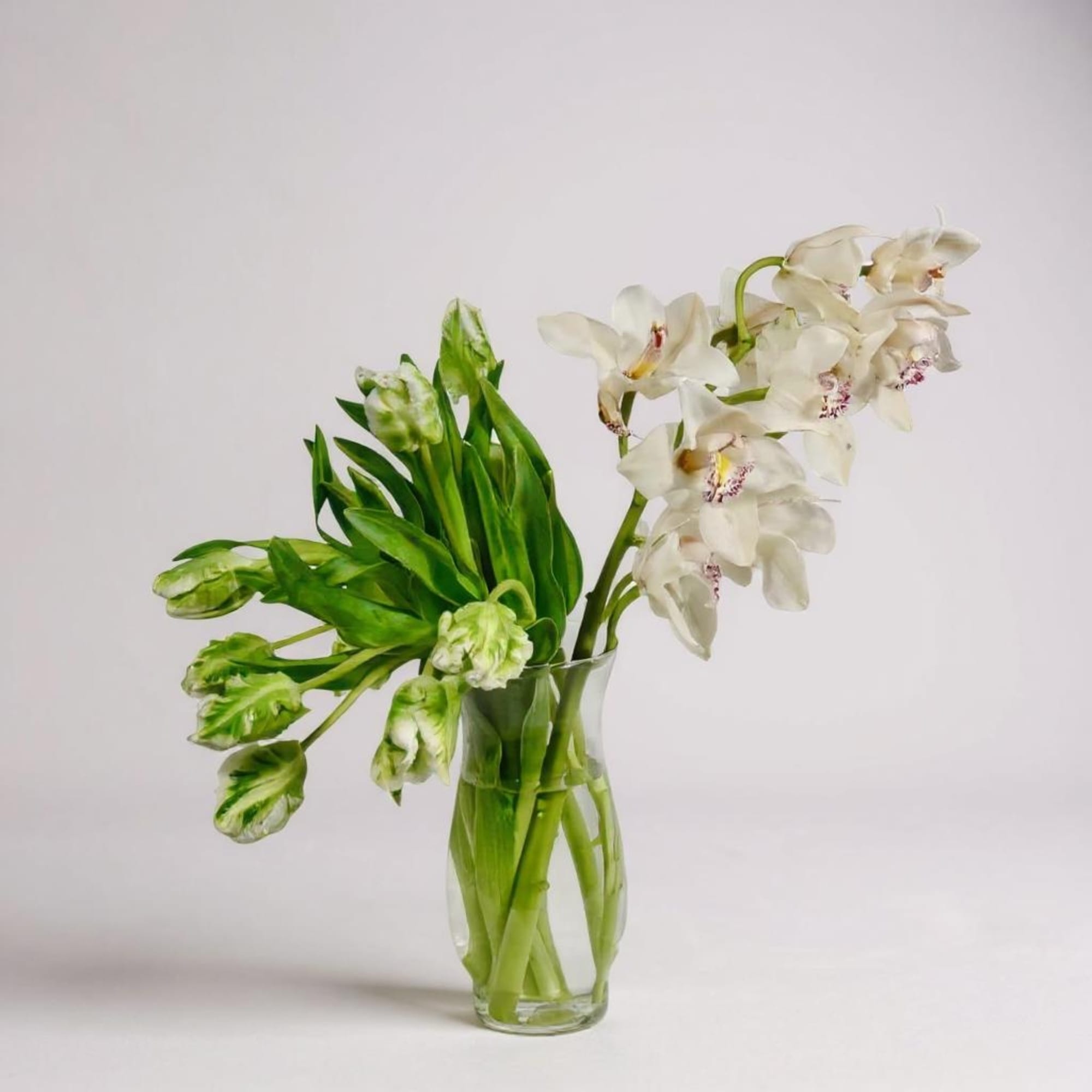 White orchids and green tulips in a clear glass vase