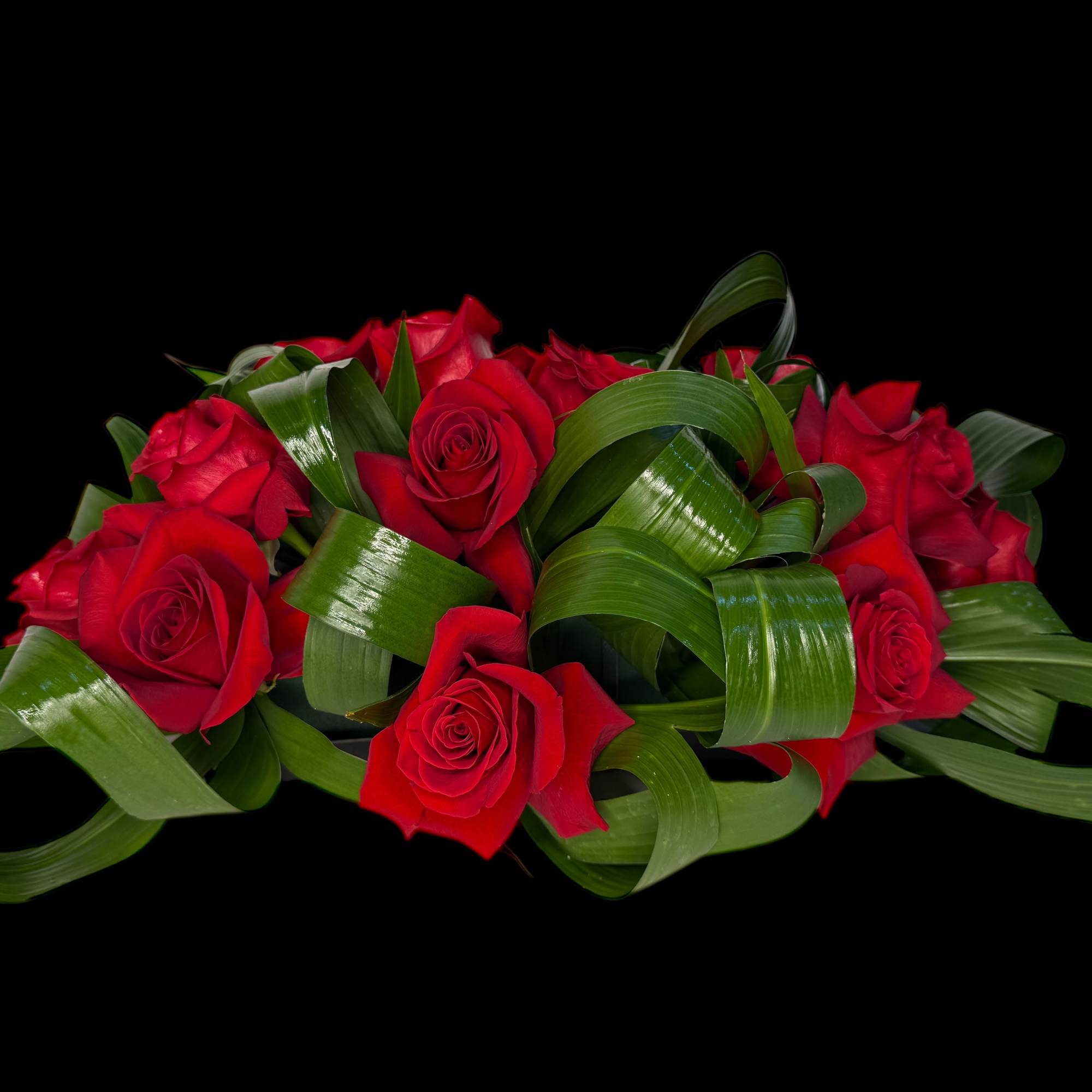Red roses arranged with looping green leaves on a black background