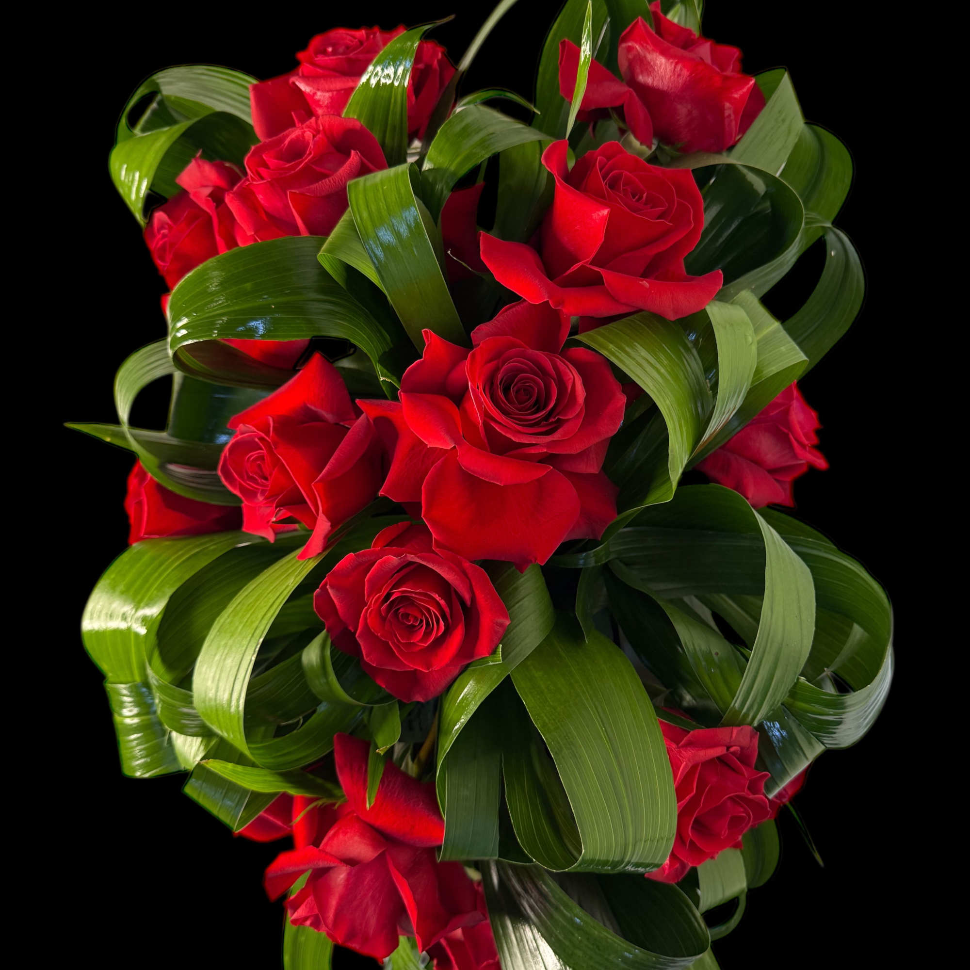 Bouquet of red roses with glossy green ribbon-like leaves