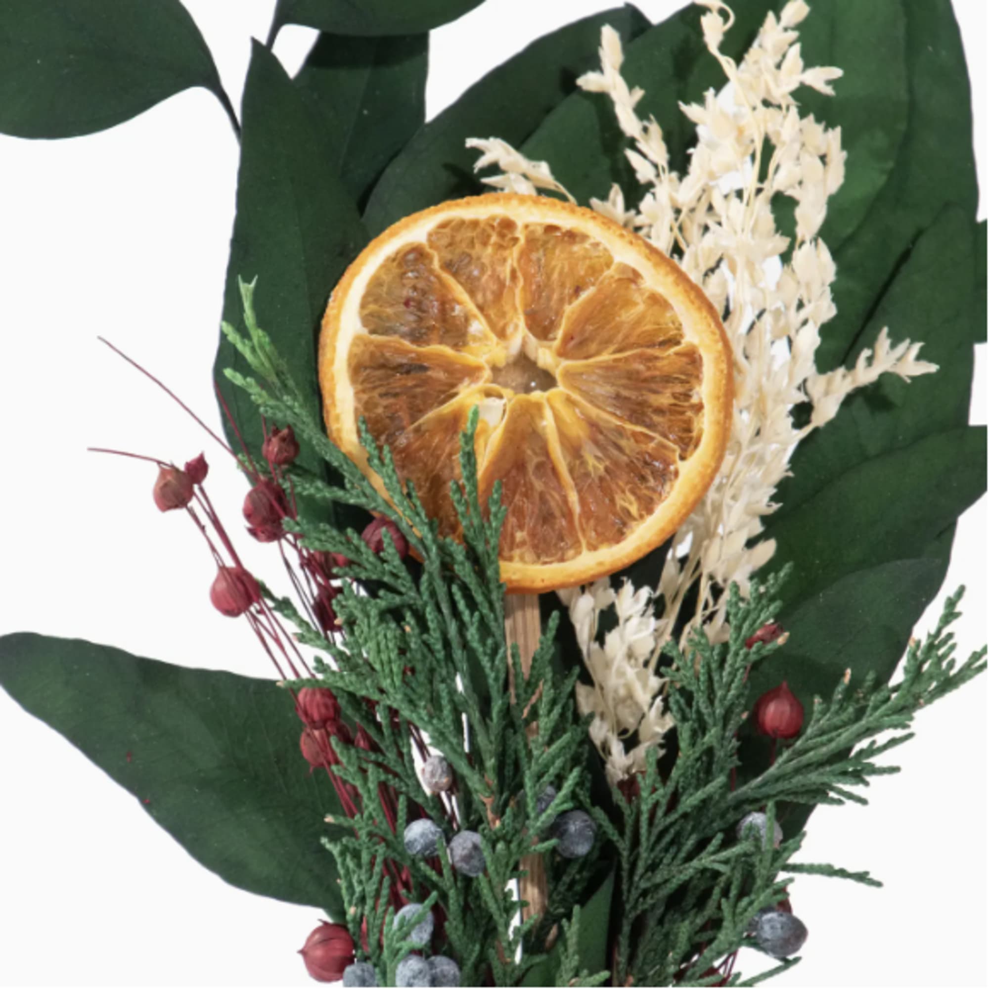 Dried orange slice with evergreen sprigs and red berries