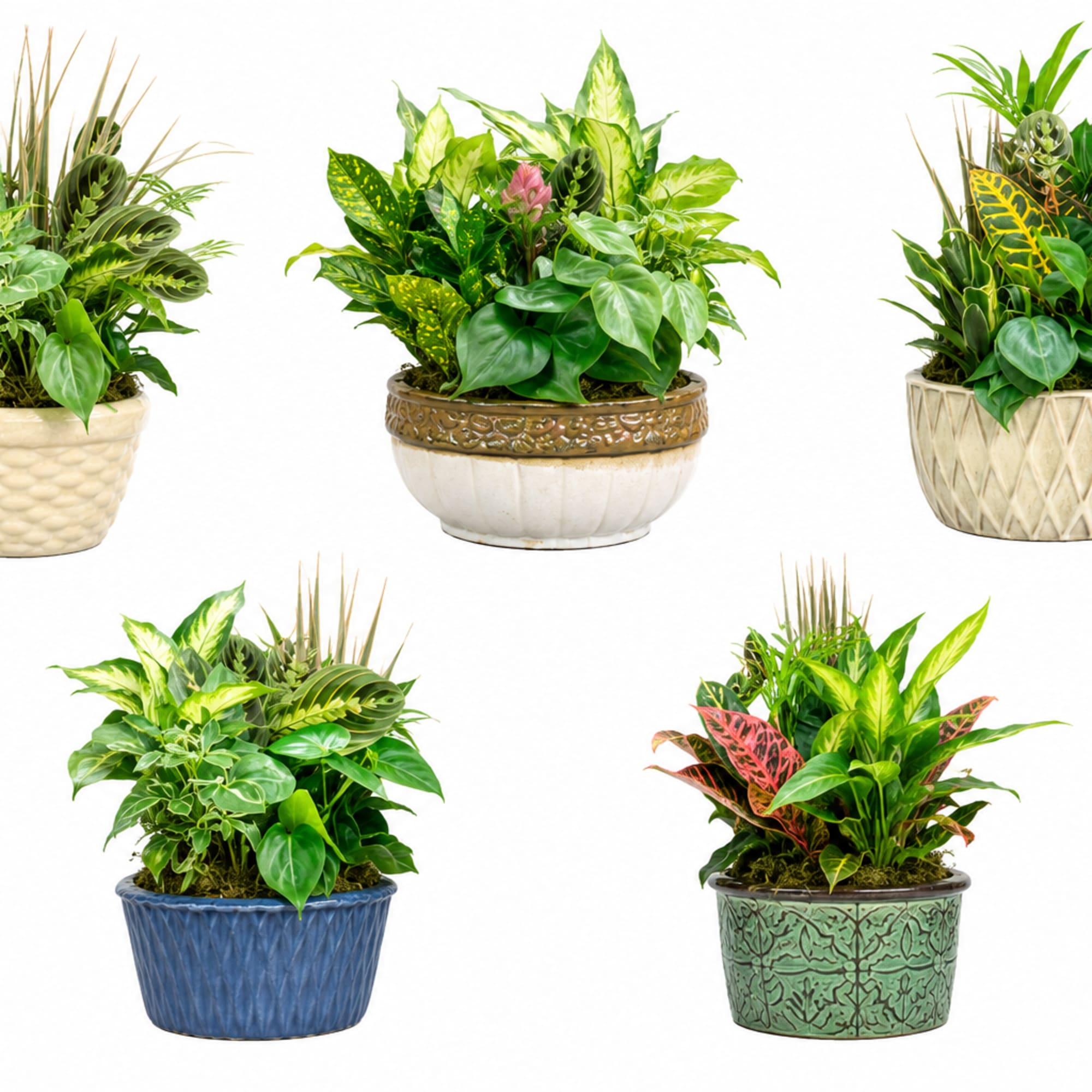 Bring a touch of the tropics indoors with our Tropical Harmony Planter., photo 2 of 2