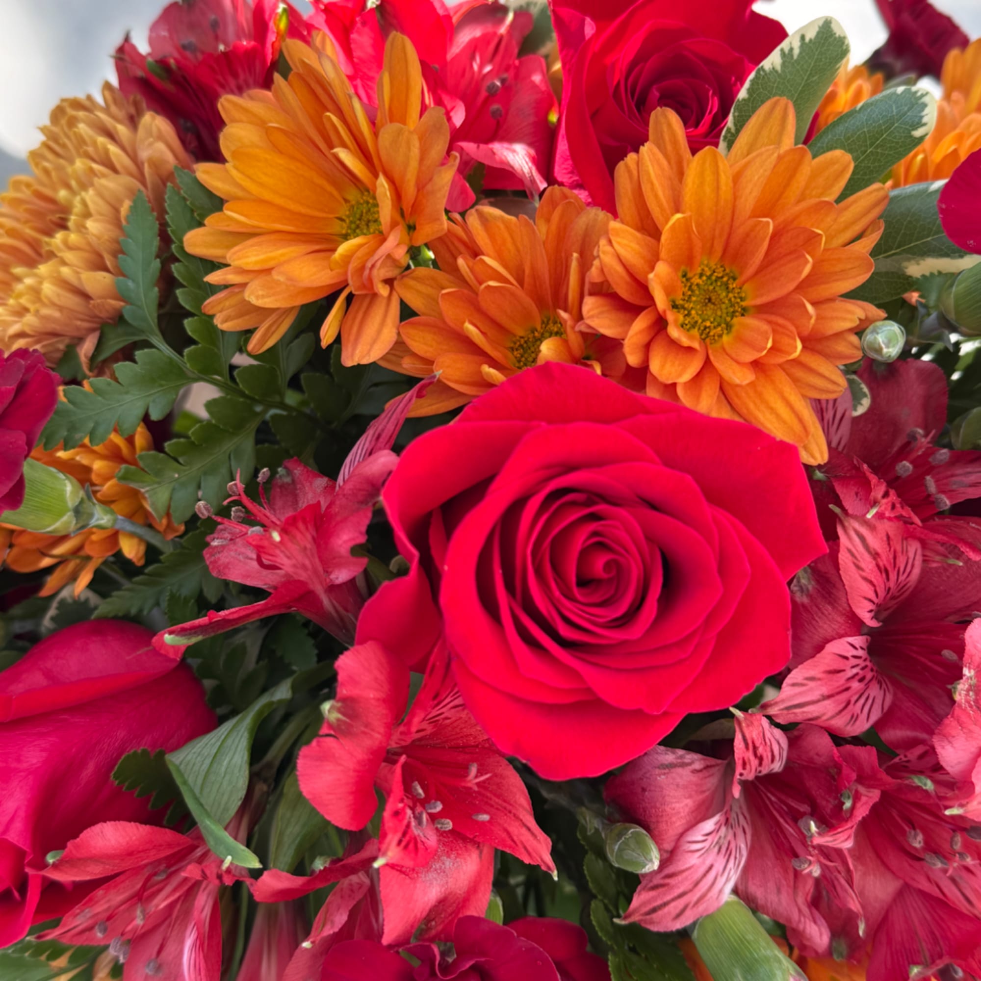 Bright bouquet of red roses, orange daisies, and pink alstroemeria