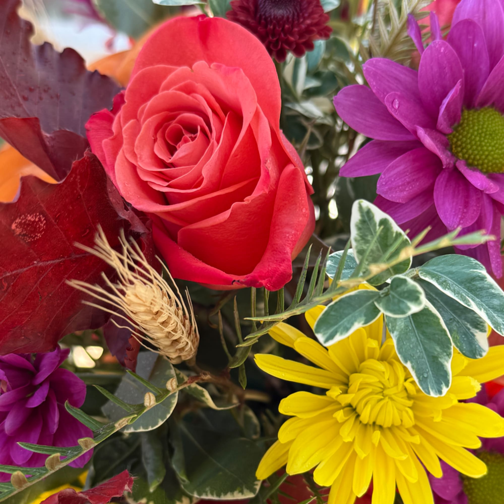 Close-up of a mixed bouquet with a red rose, purple daisy, and yellow chrysanthemum