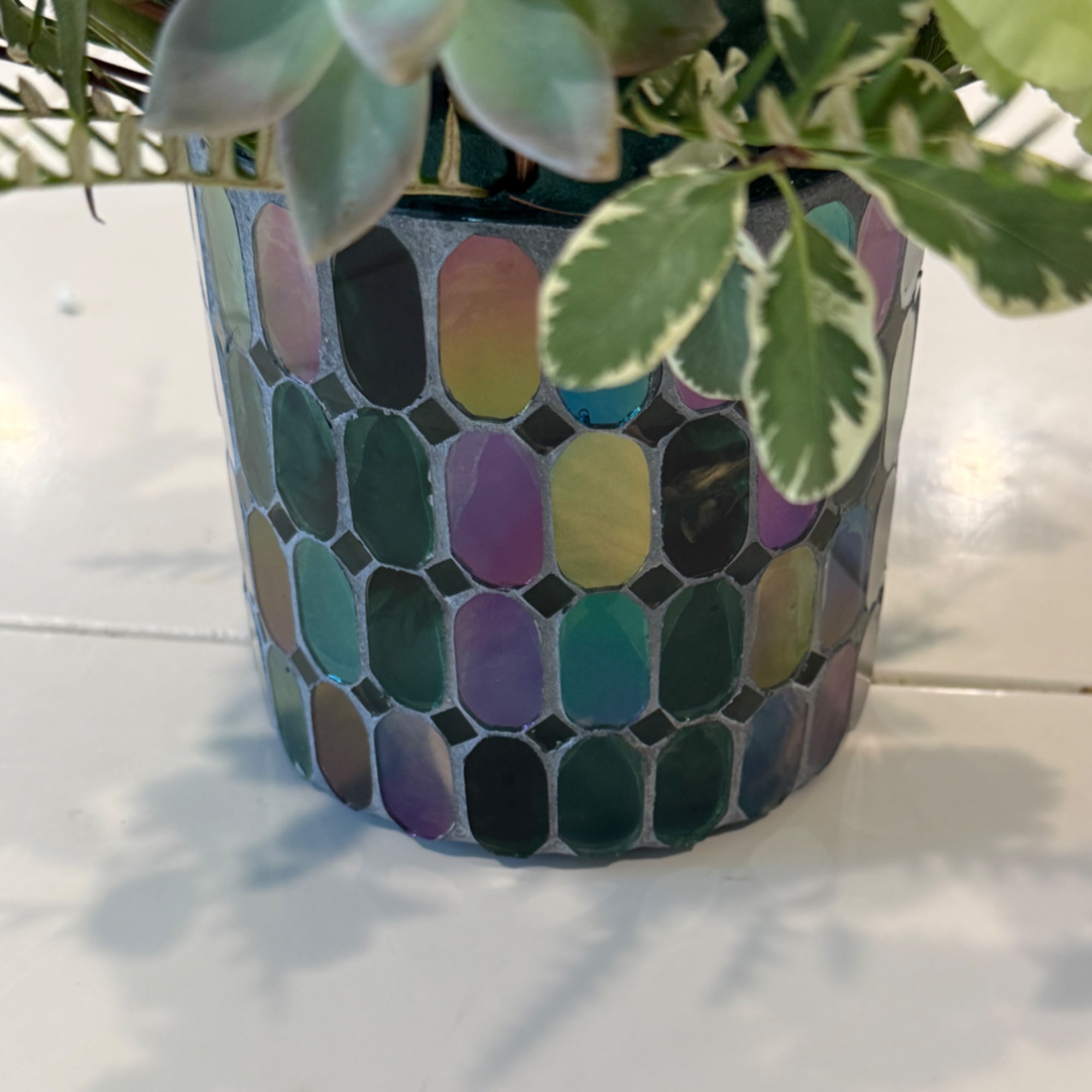 Potted succulent arrangement in a mosaic-patterned container