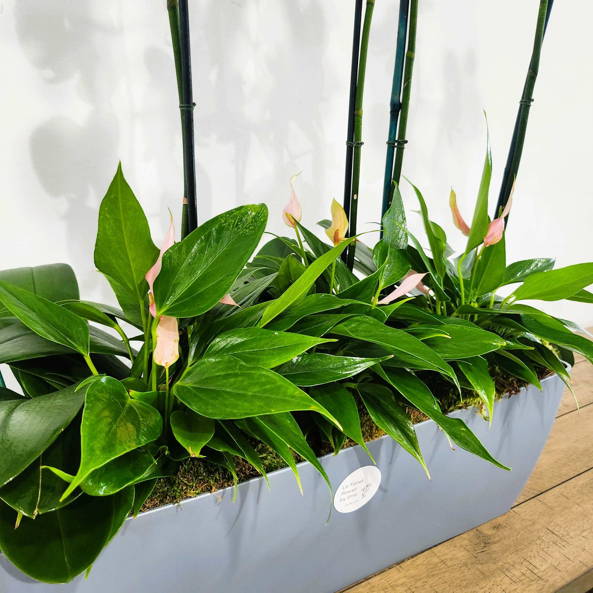 Rectangular planter with lush green tropical plants and pale pink blooms