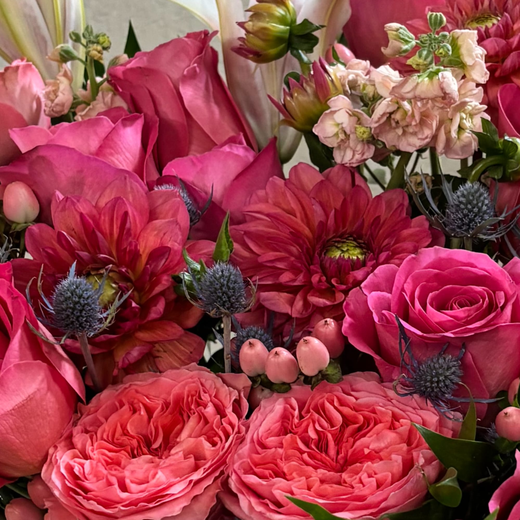 Pink roses and dahlias with pale blossoms and blue thistle accents