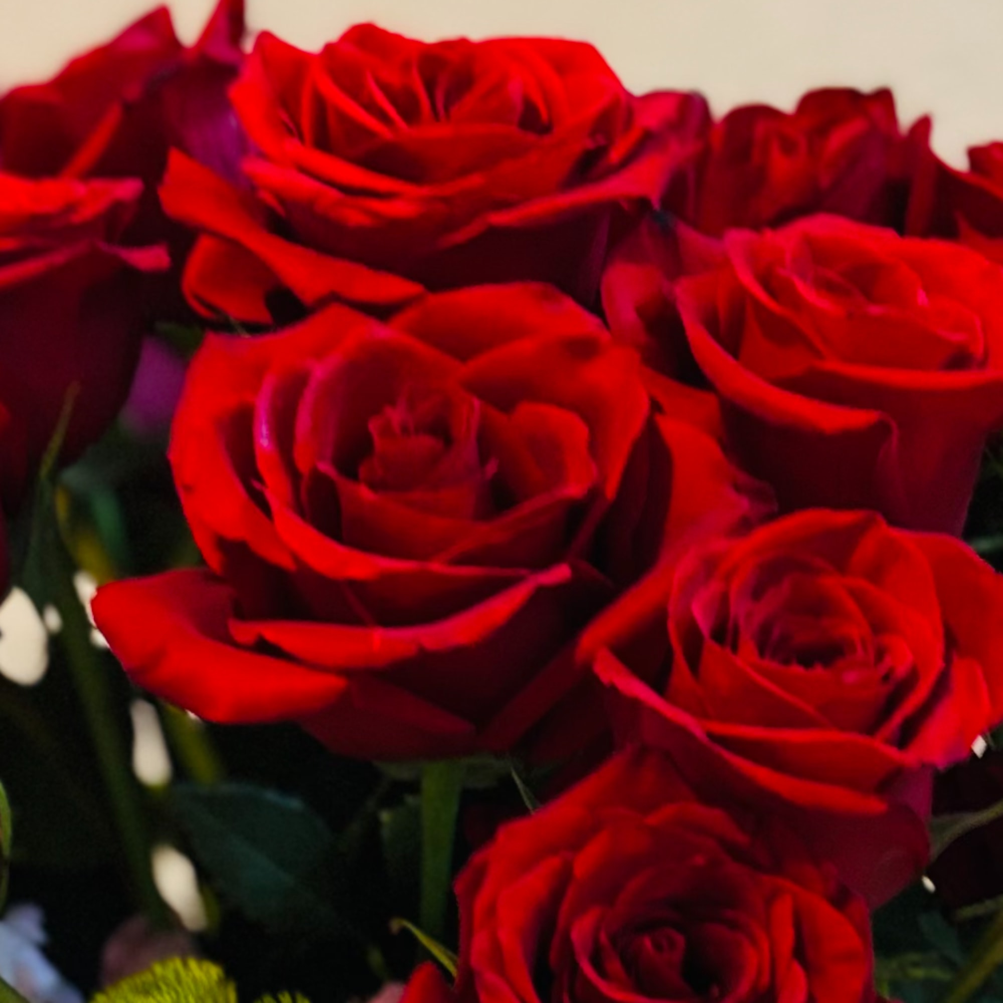 Close-up bouquet of red roses