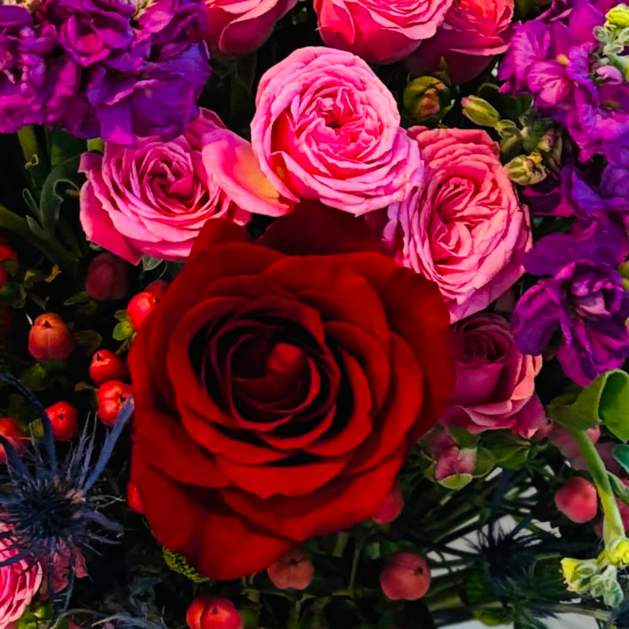 Close-up bouquet of red, pink, and purple roses
