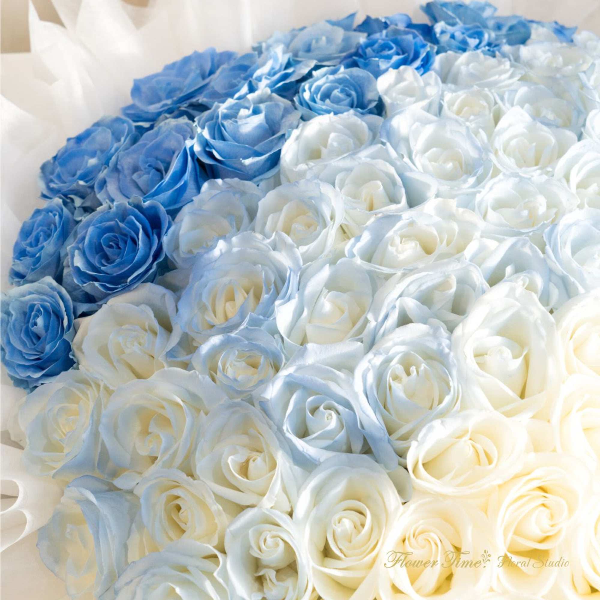 Blue and white rose bouquet wrapped in white paper