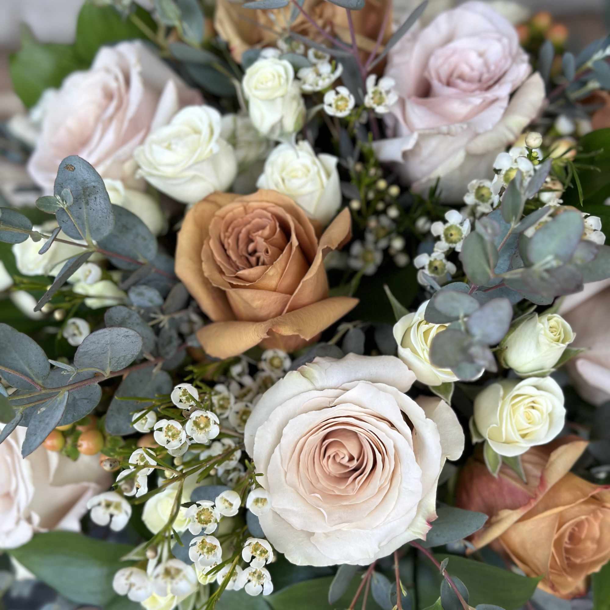 Bouquet of blush, white, and peach roses with small white filler flowers