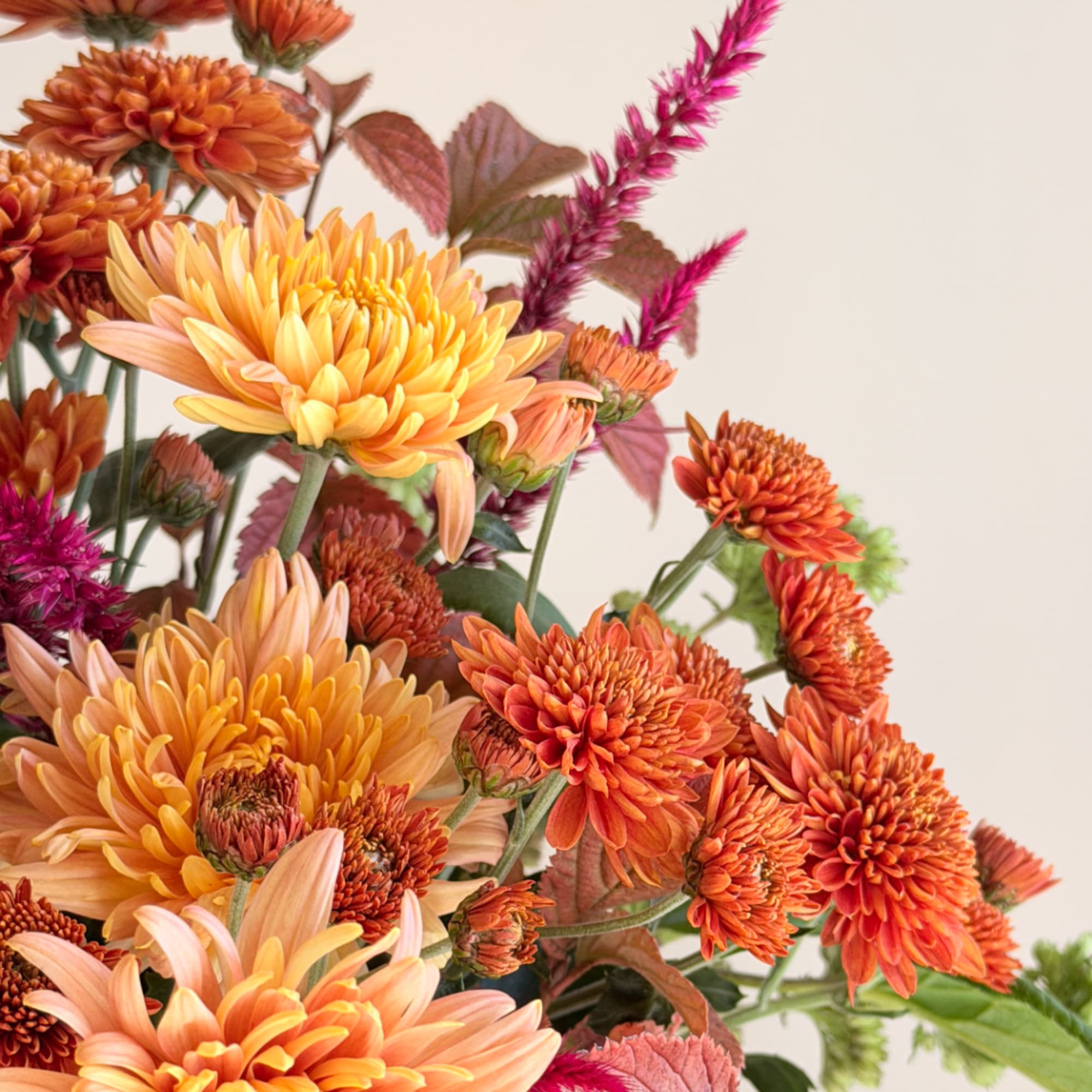 Orange and peach chrysanthemum bouquet with magenta accent spikes